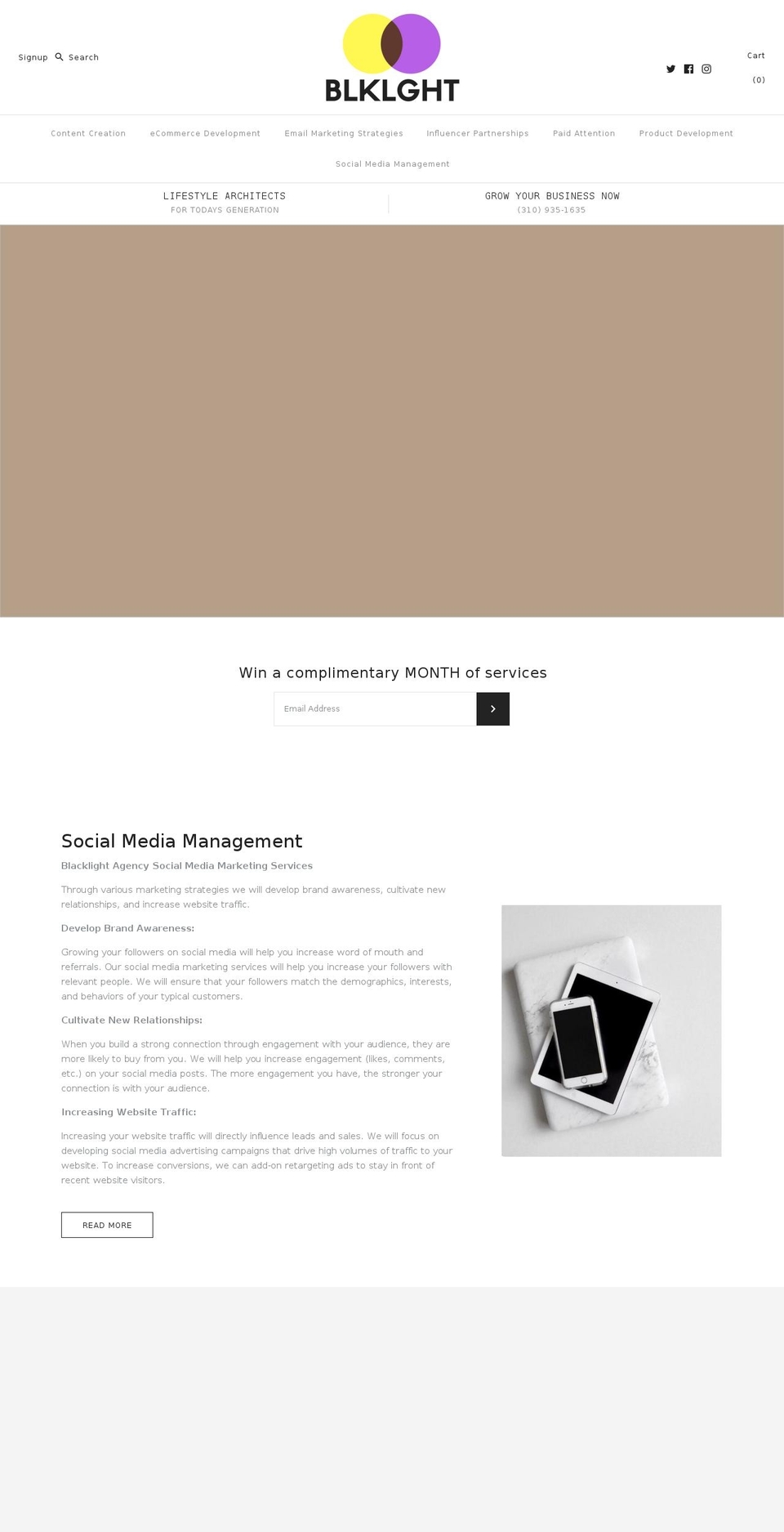 blacklightagency.com — Shopify storefront screenshot
