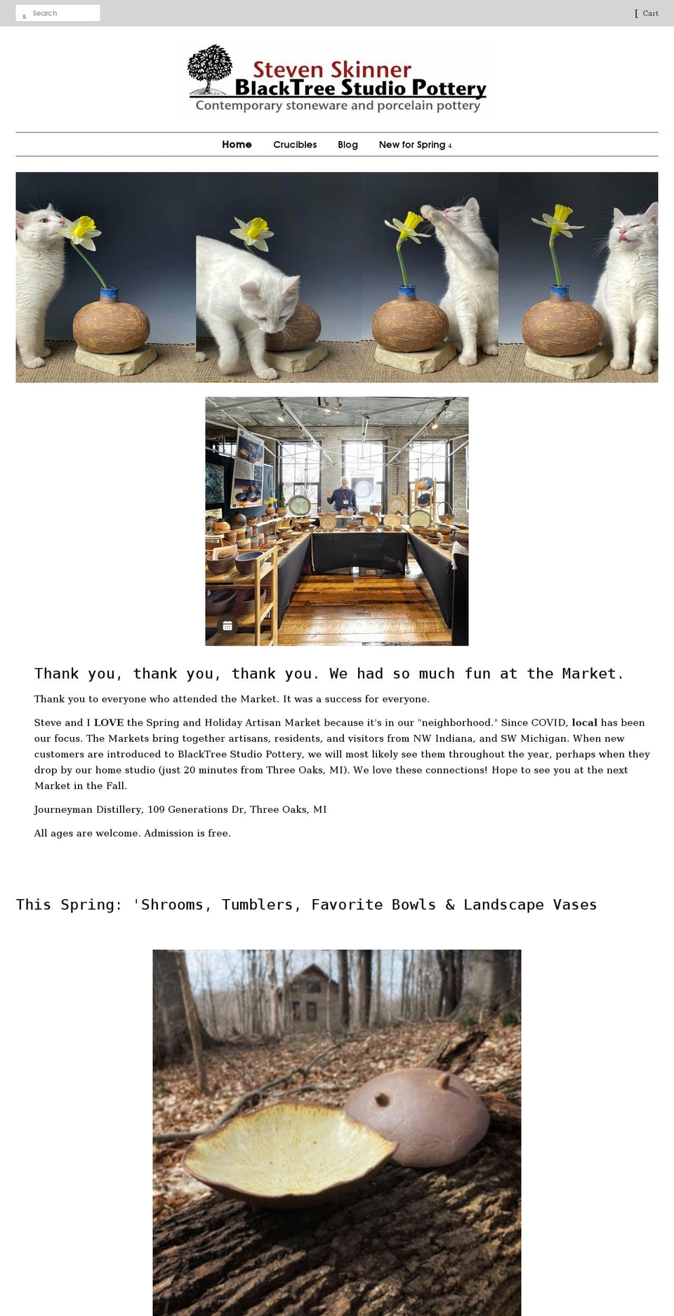 blacktreestudiopotterystore.com shopify website screenshot