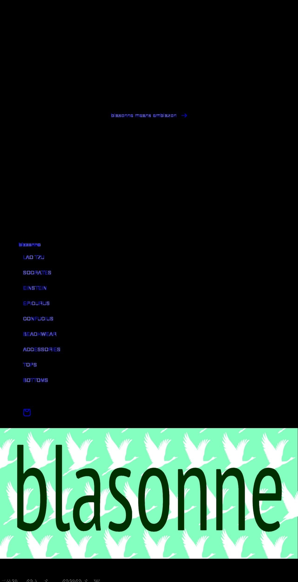 blasonne.com shopify website screenshot