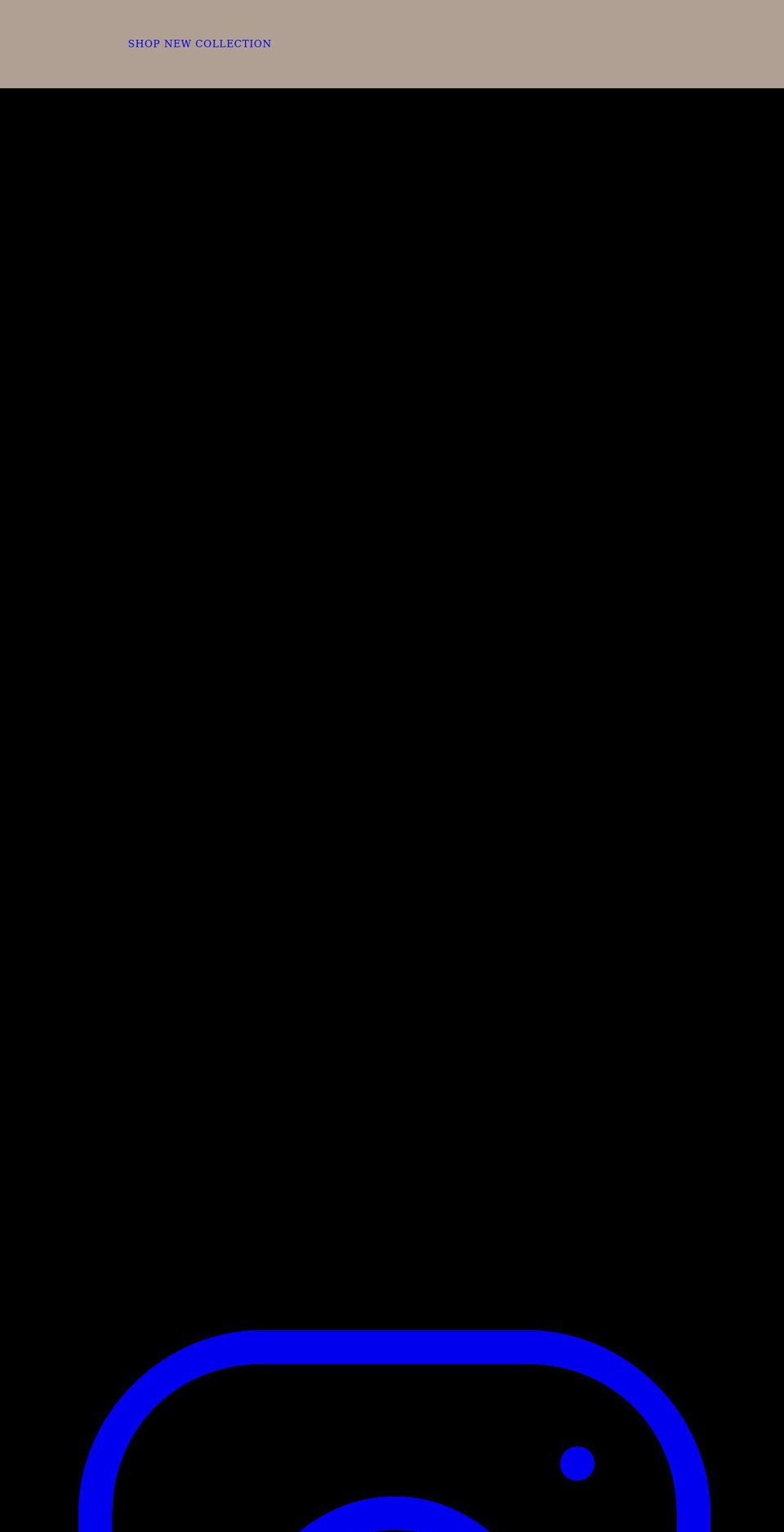 bleeckerandprince.com shopify website screenshot