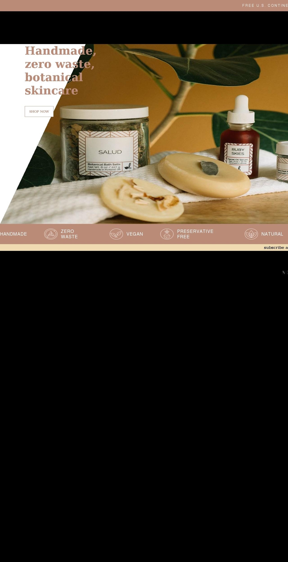 blendily.com shopify website screenshot