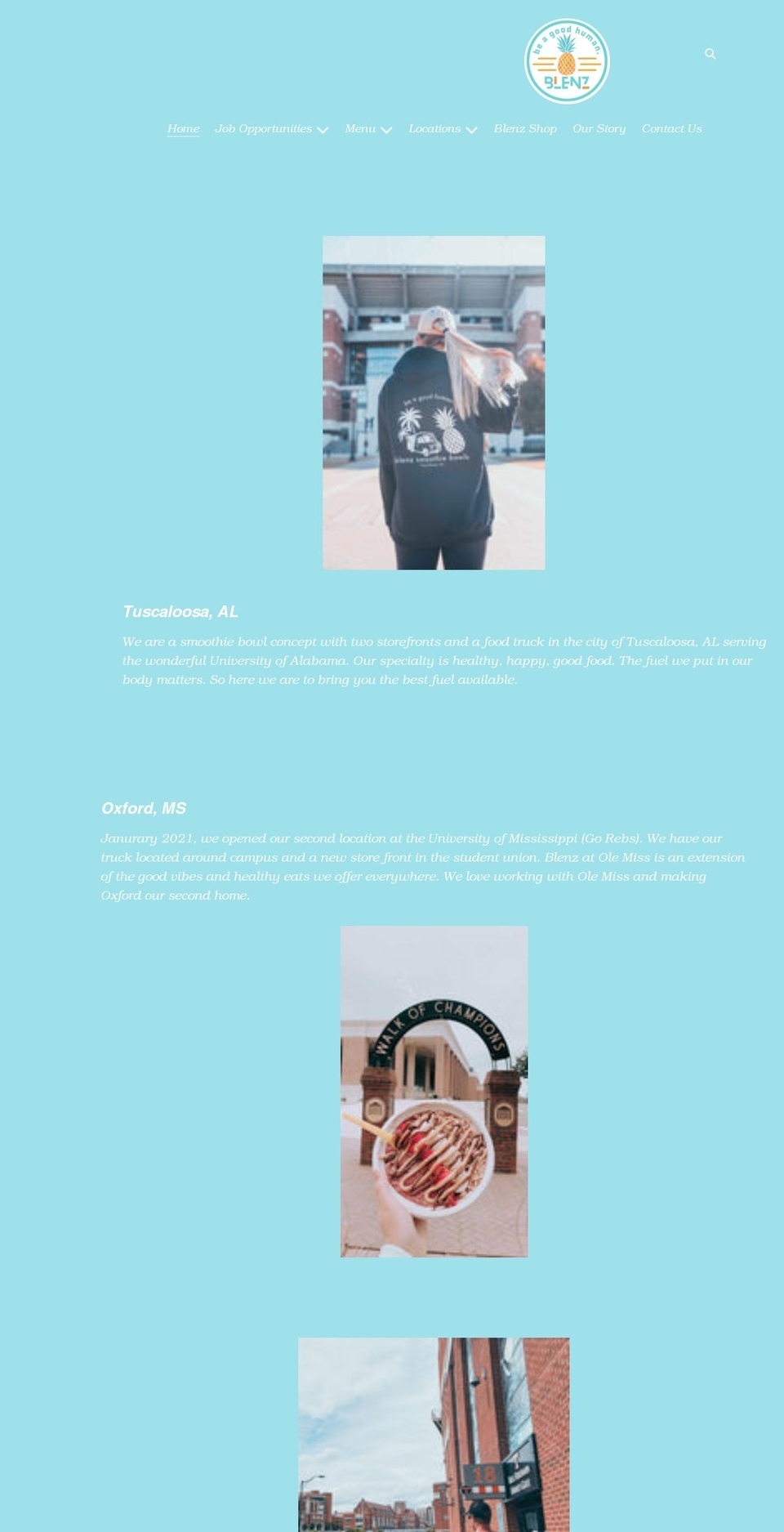 blenzbowls.com shopify website screenshot
