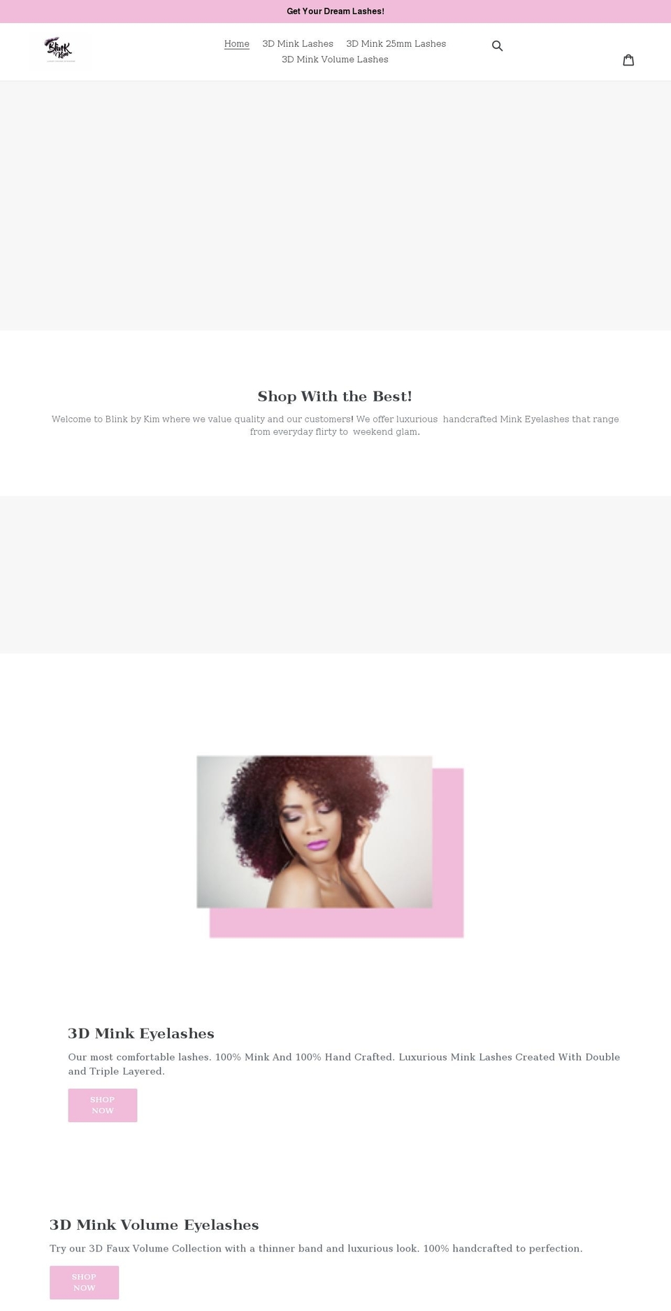 blinkbykim2.com shopify website screenshot