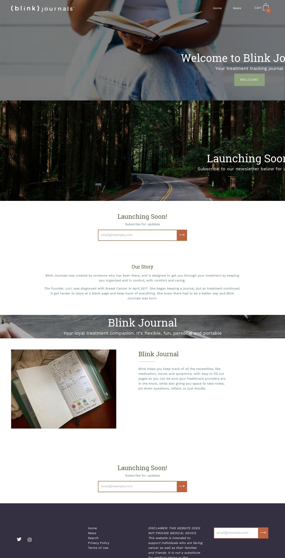 blinkjournals.com — Shopify storefront screenshot
