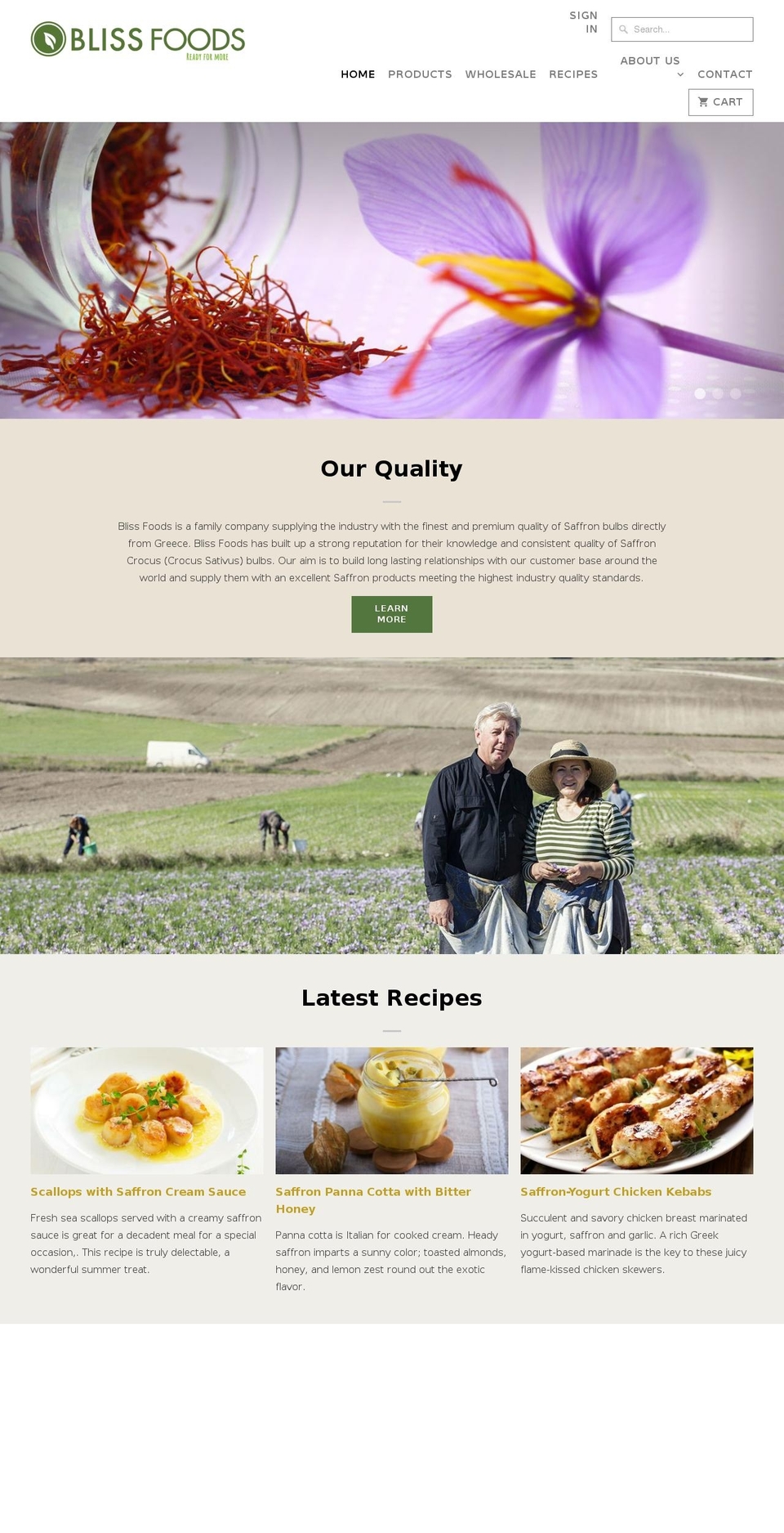 blissfoodsllc.com — Shopify storefront screenshot