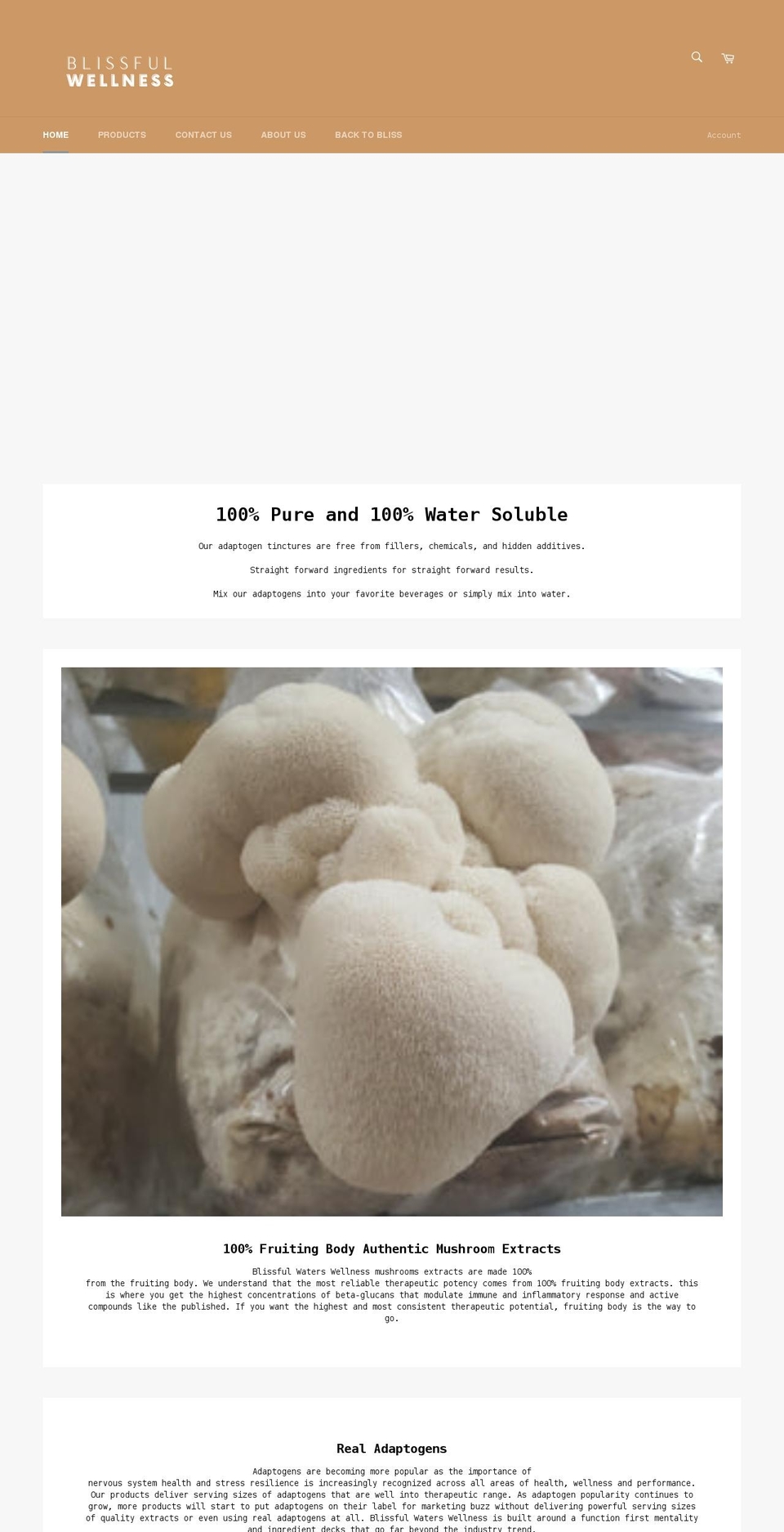 blissful-waters-online.myshopify.com shopify website screenshot