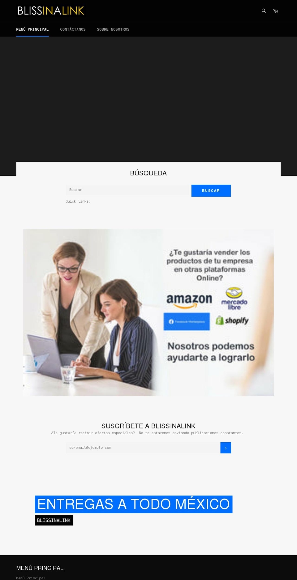 blissinalink.com shopify website screenshot