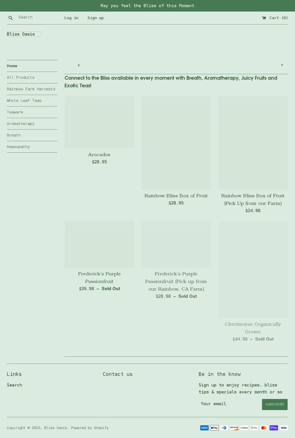 blisssville.com shopify website screenshot