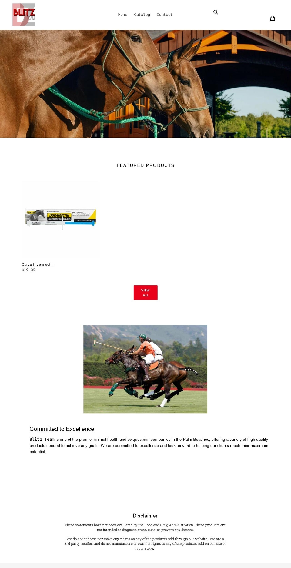 blitzteamfl.com shopify website screenshot