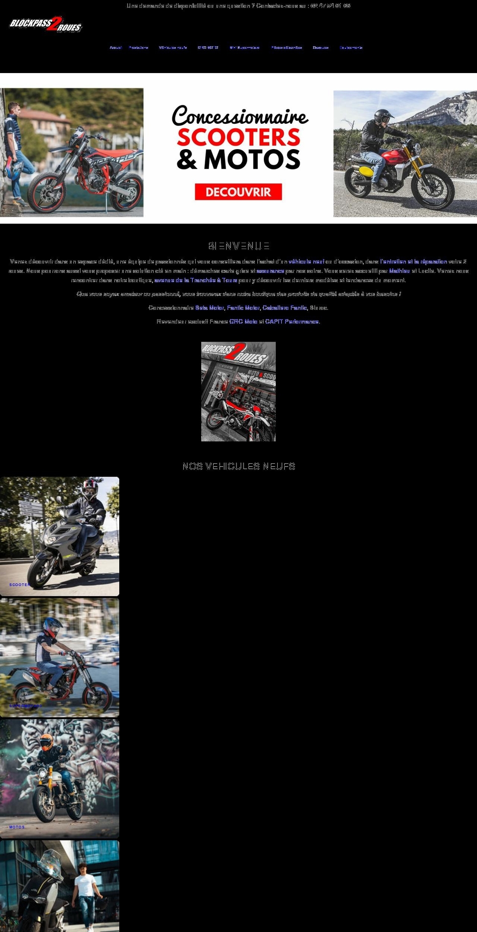 blockpasstours.com shopify website screenshot