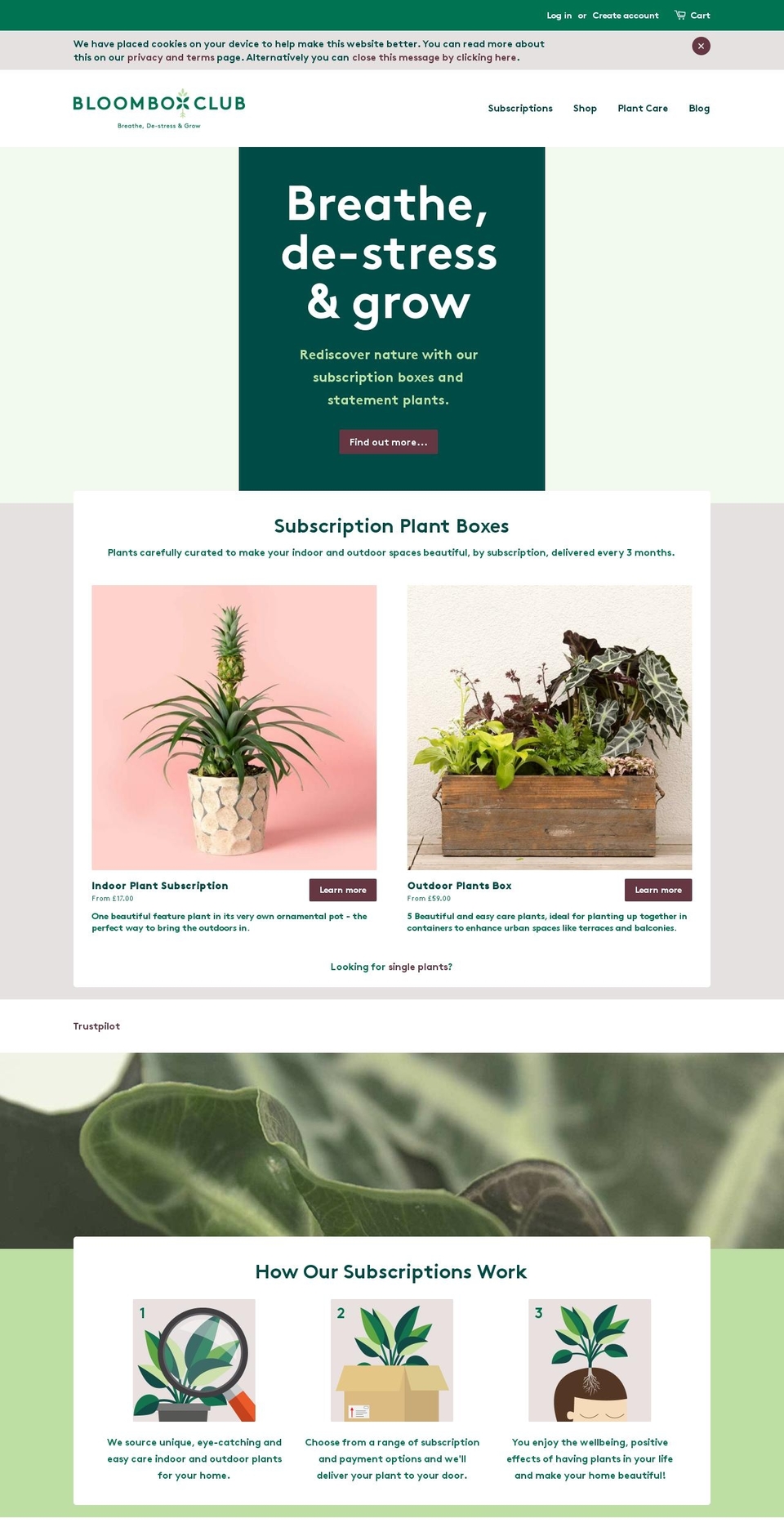 bloomboxclub.blog shopify website screenshot