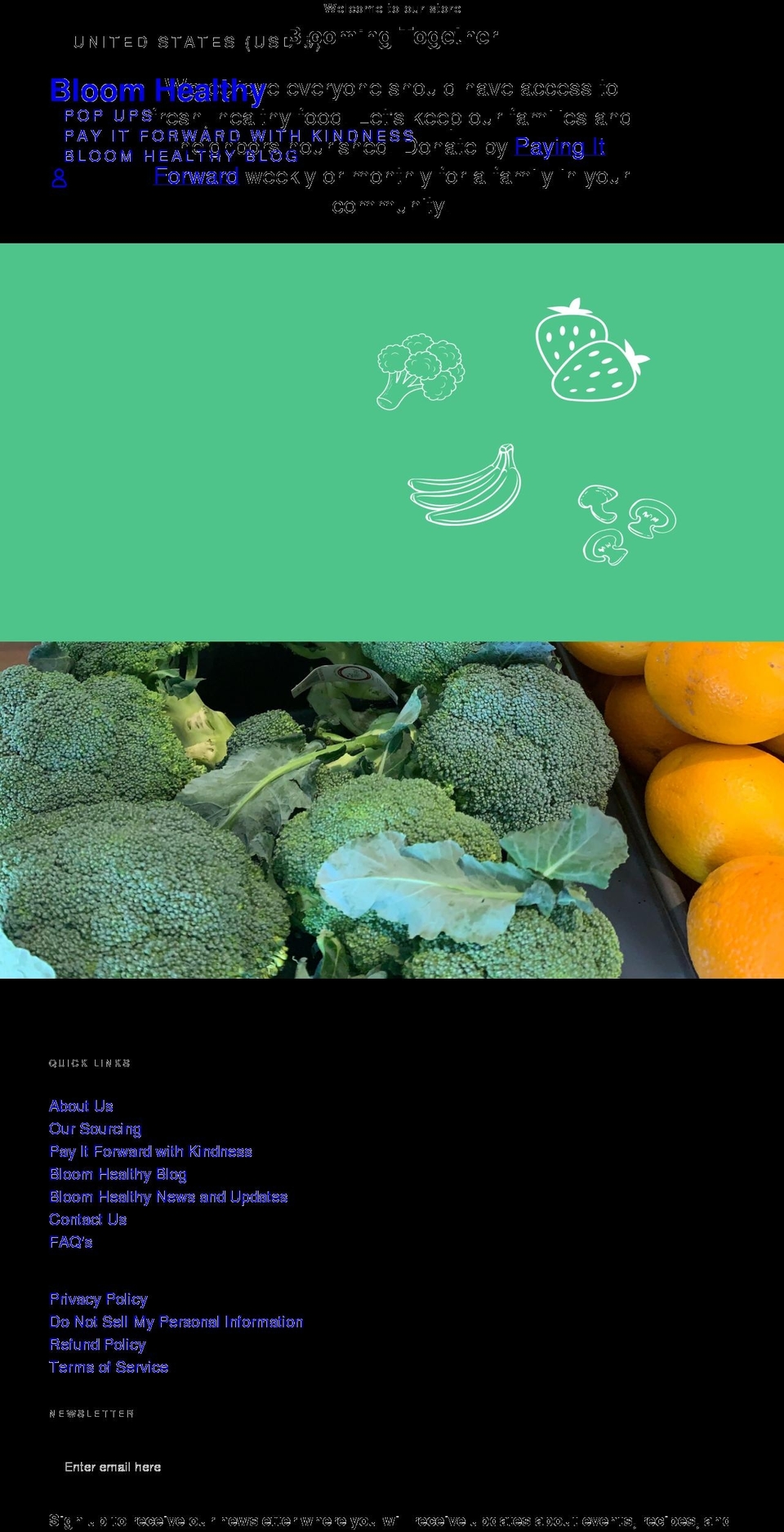 bloomhealthy.org shopify website screenshot