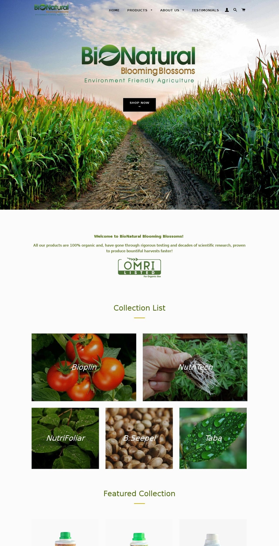 bloomingblossoms.com shopify website screenshot