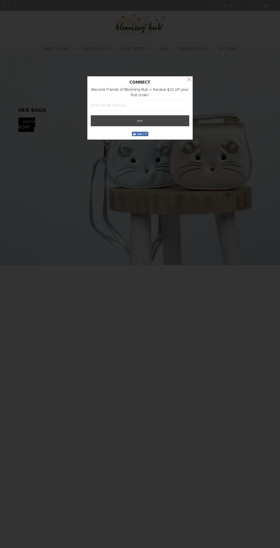 bloomingbub.com — Shopify storefront screenshot