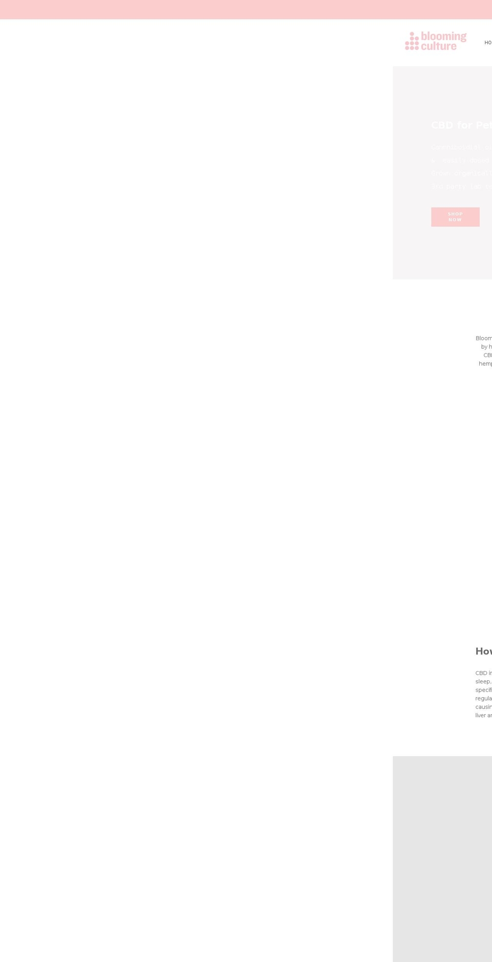 bloomingculture.com shopify website screenshot