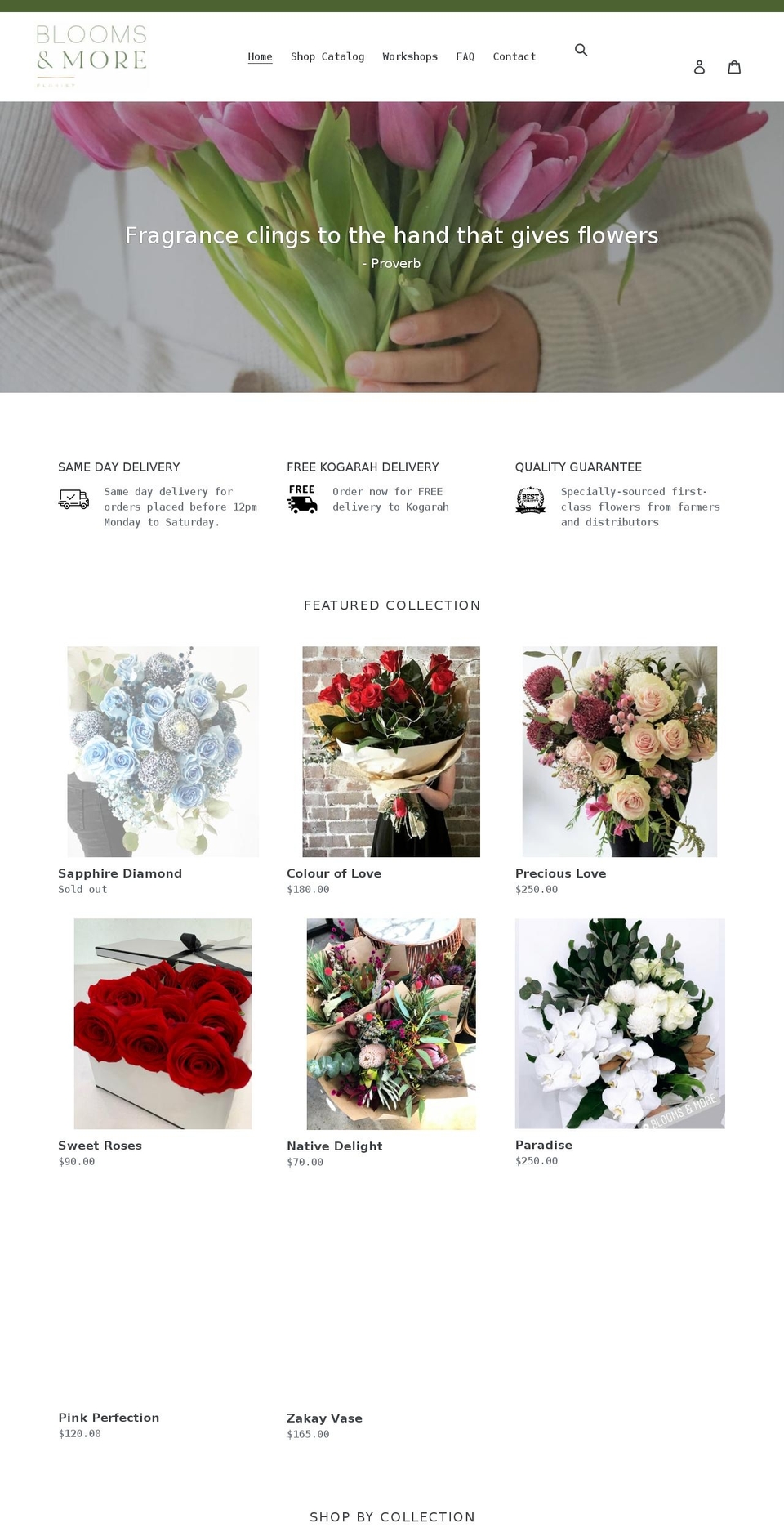 bloomsandmoreflorist.com shopify website screenshot