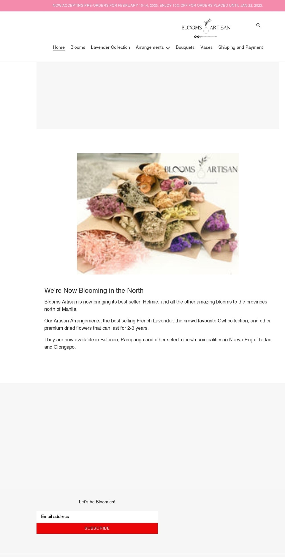 bloomsartisannorth.com shopify website screenshot