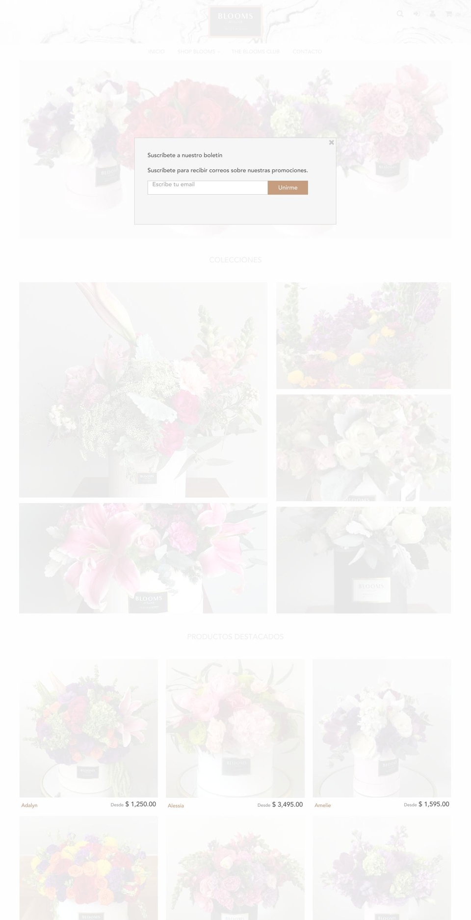 bloomsatelier.com shopify website screenshot