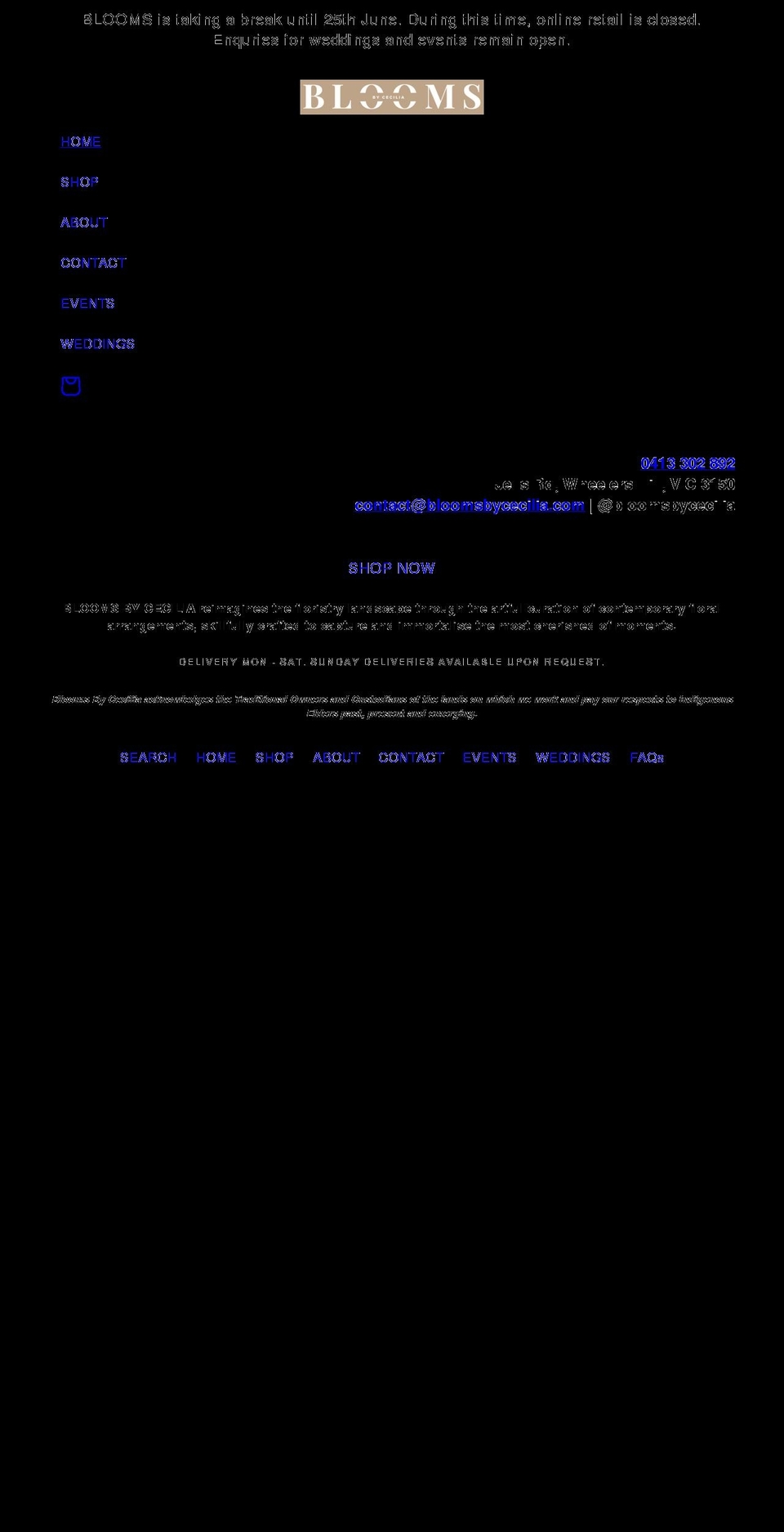 bloomsbycecilia.com shopify website screenshot
