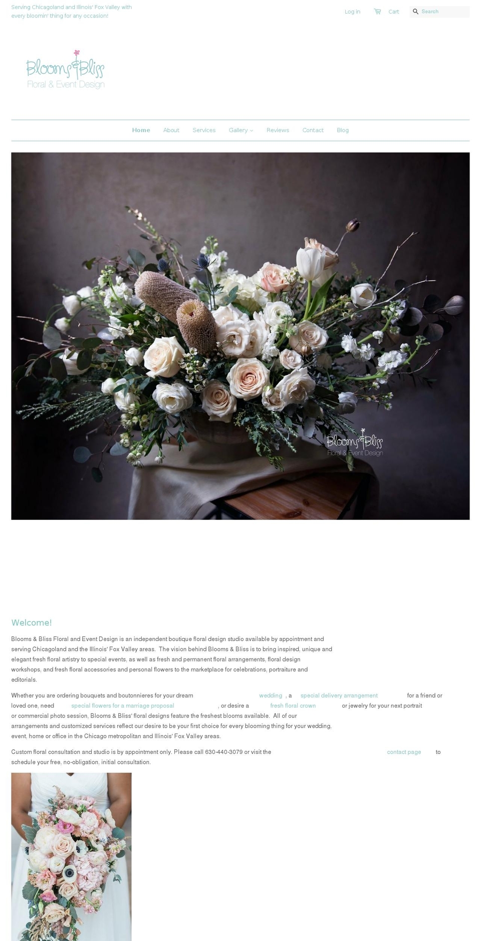 bloomsnbliss.com — Shopify storefront screenshot