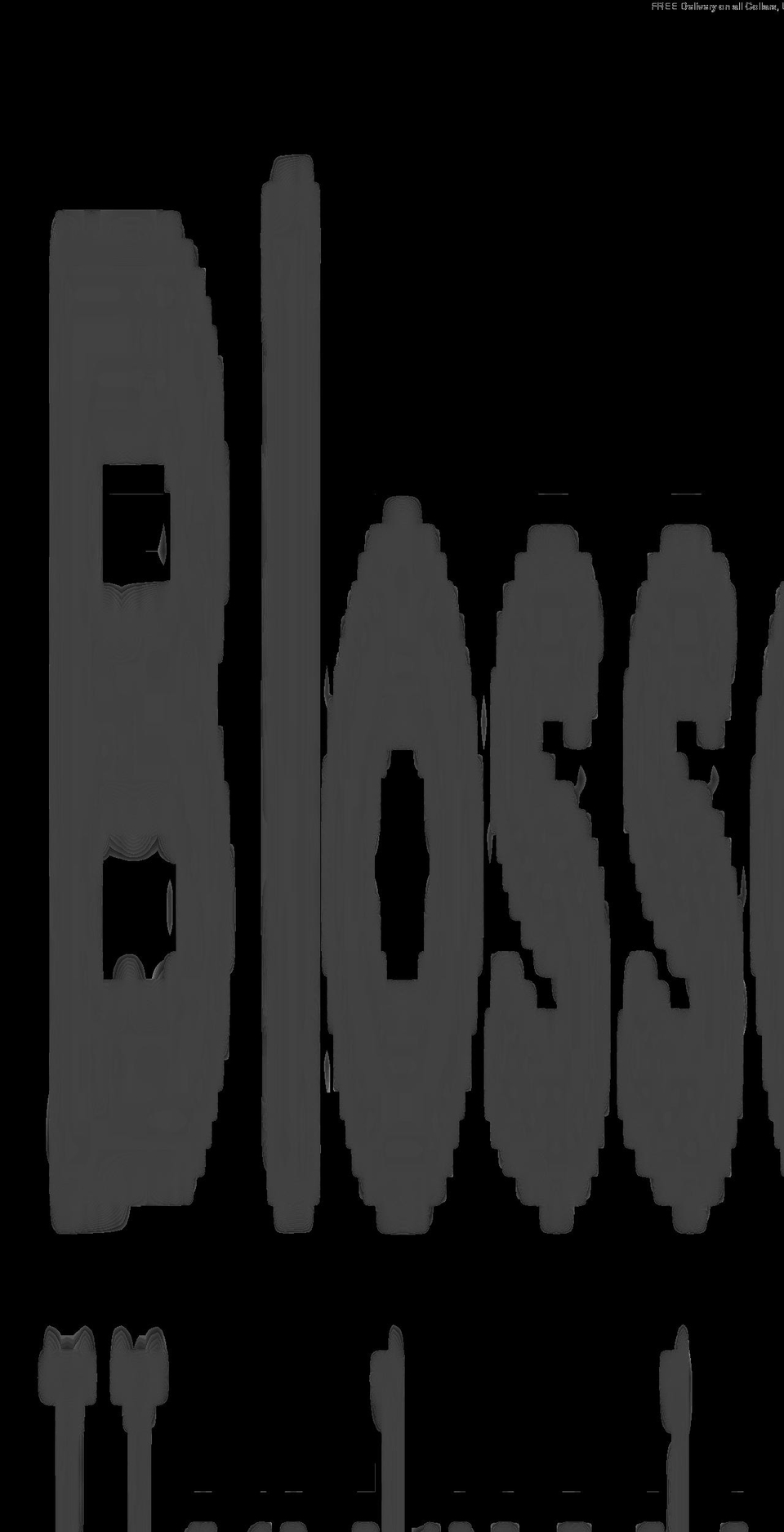 blossomco.com shopify website screenshot