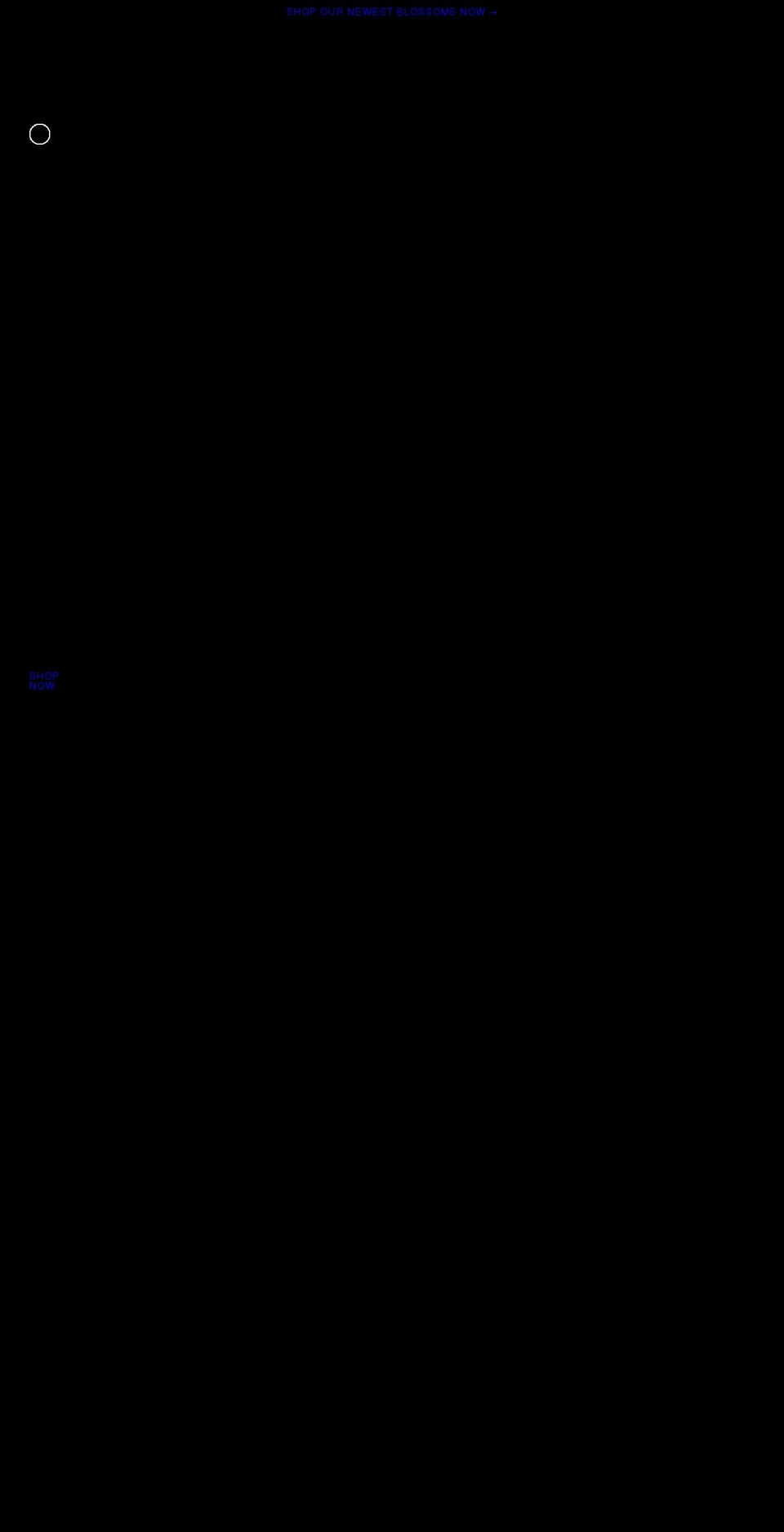 blossomcosmeticsint.com shopify website screenshot