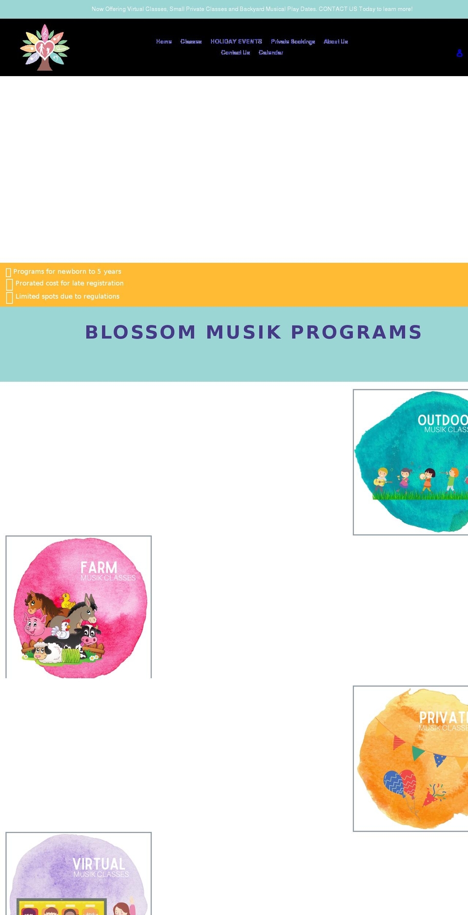 blossommusik.com shopify website screenshot