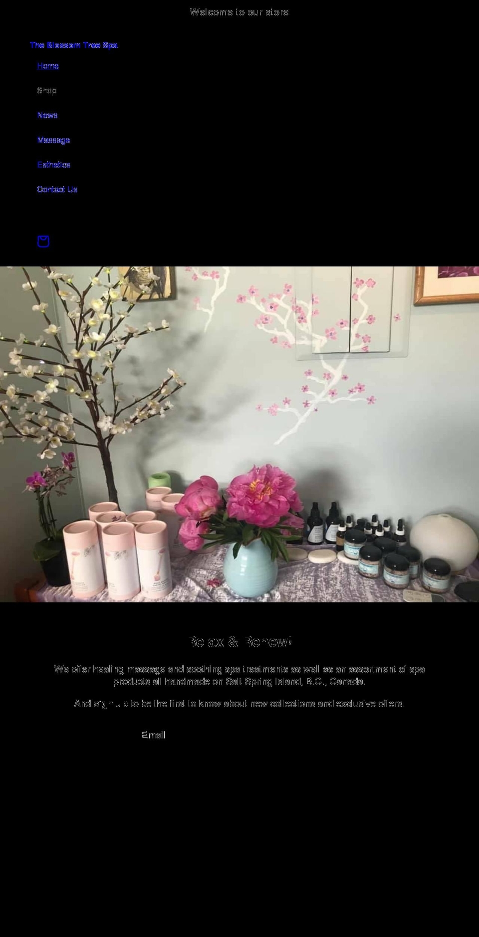 blossomtreespa.com shopify website screenshot