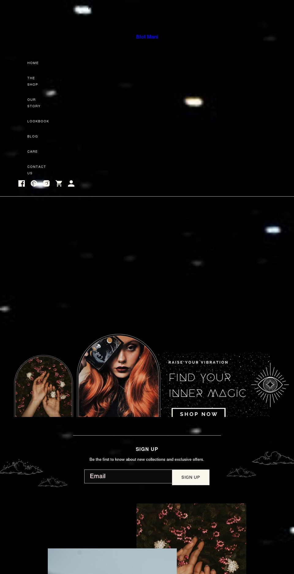 blotmani.com shopify website screenshot