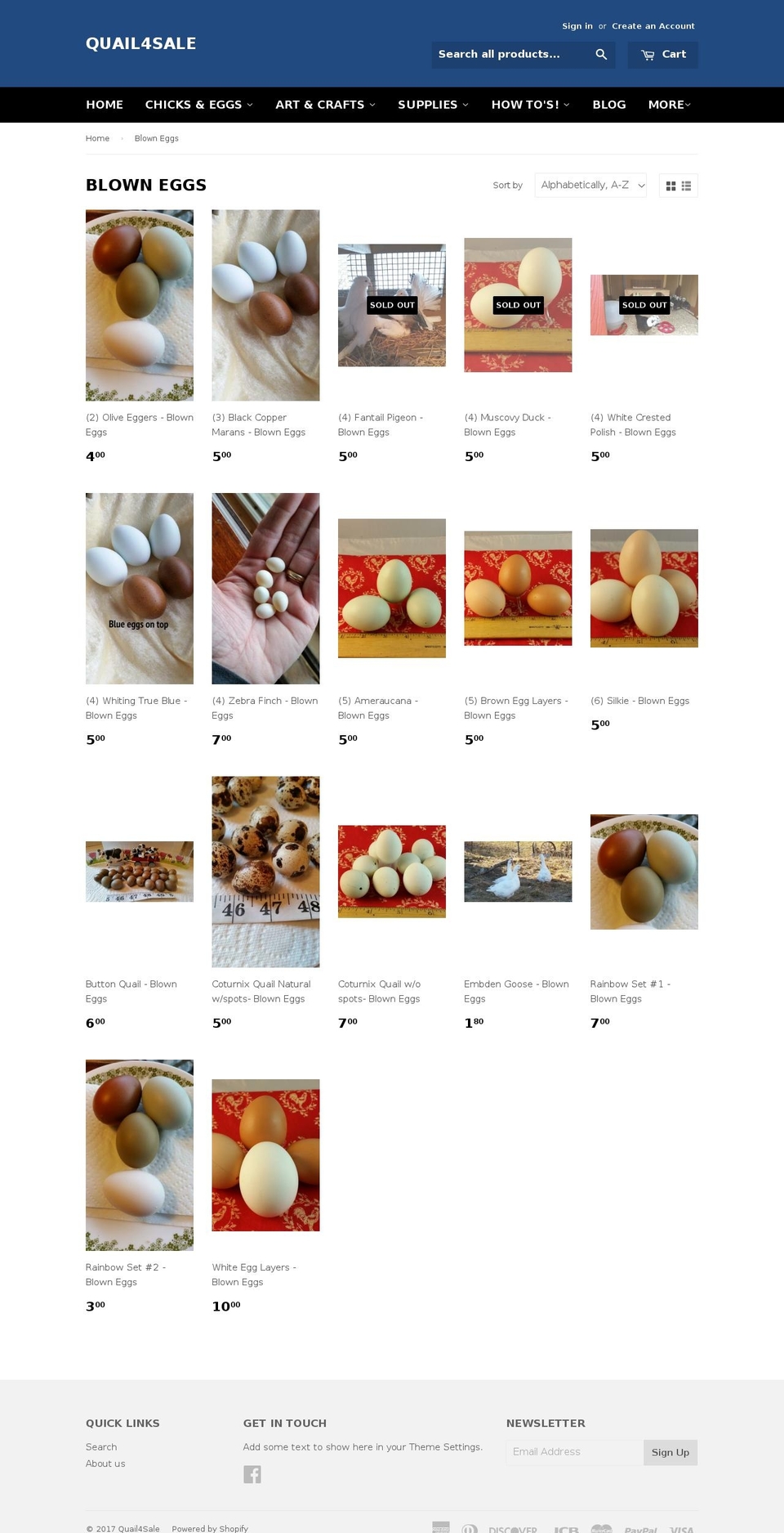 blowneggs.com shopify website screenshot