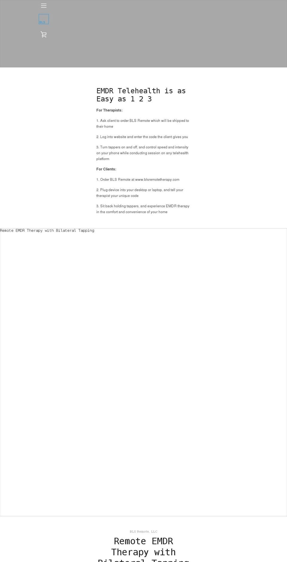 blsremotetherapy.com shopify website screenshot