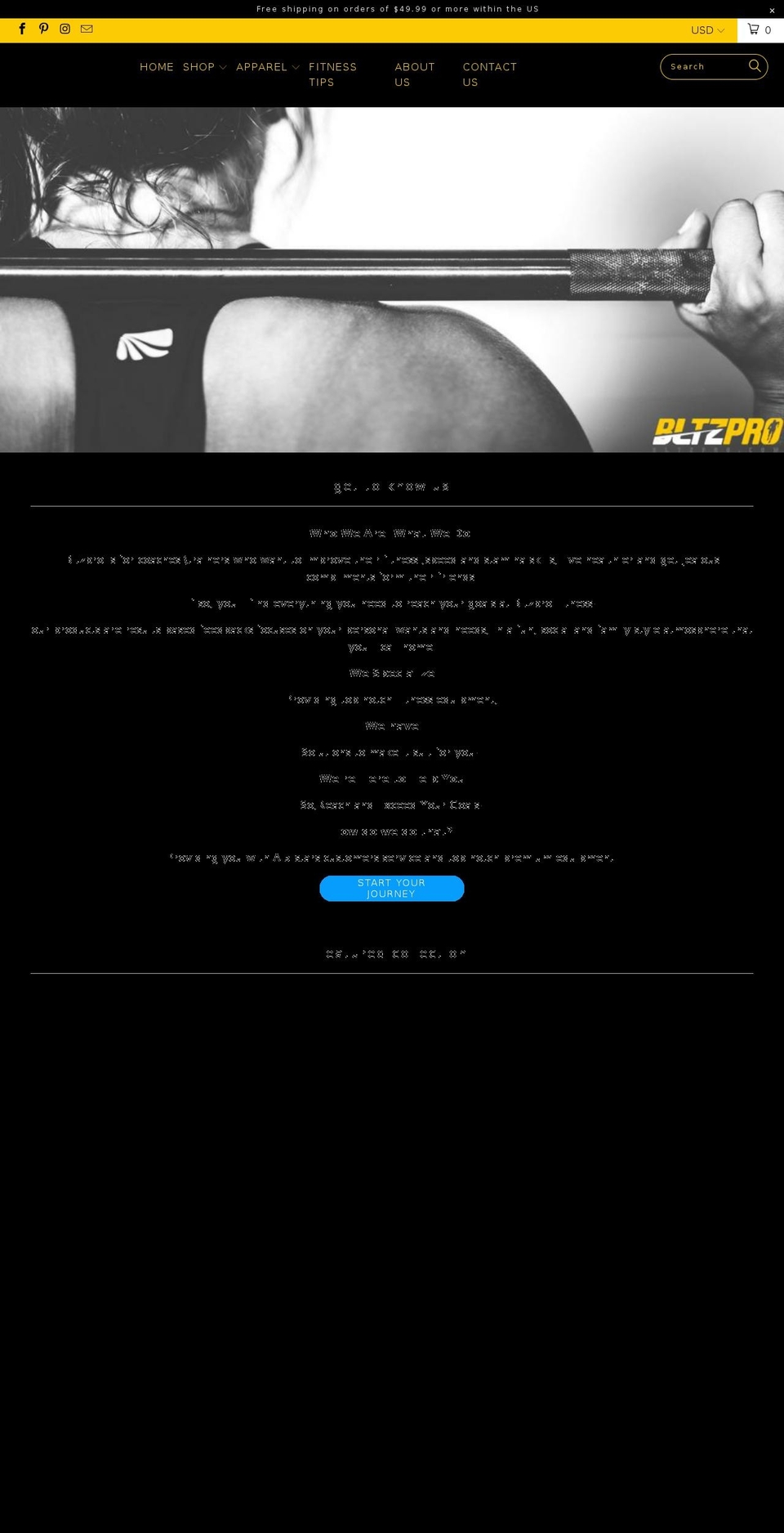 bltzpro.com — Shopify storefront screenshot