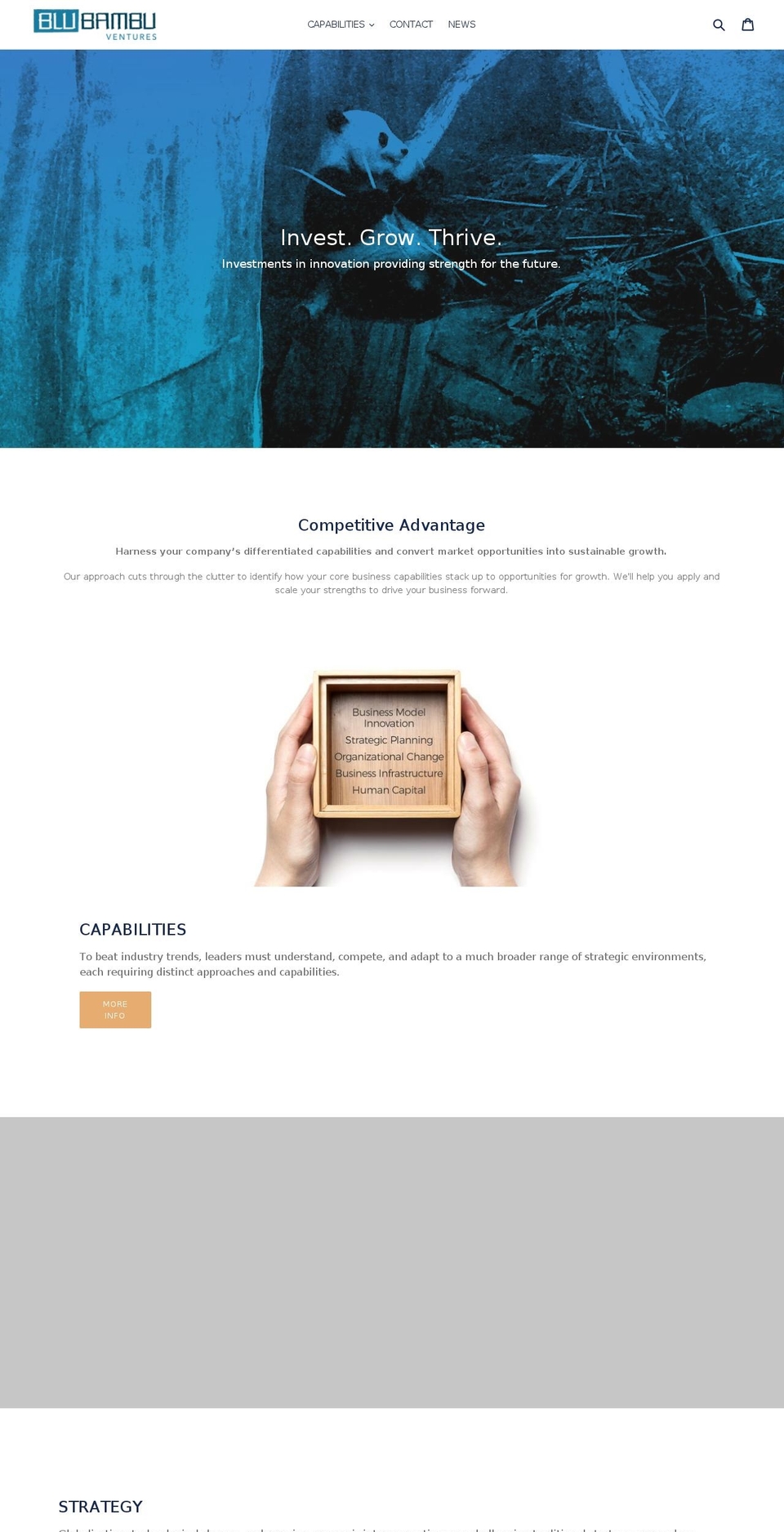 blubambuv.com — Shopify storefront screenshot
