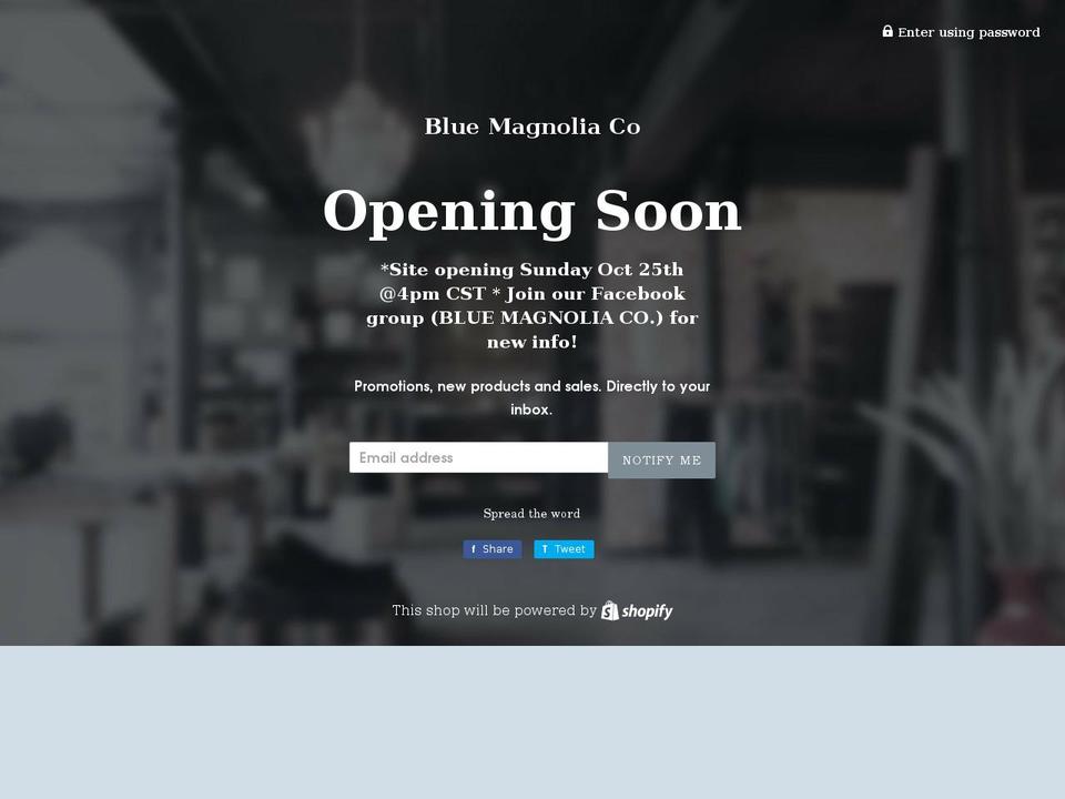 blue-magnolia-co.myshopify.com shopify website screenshot