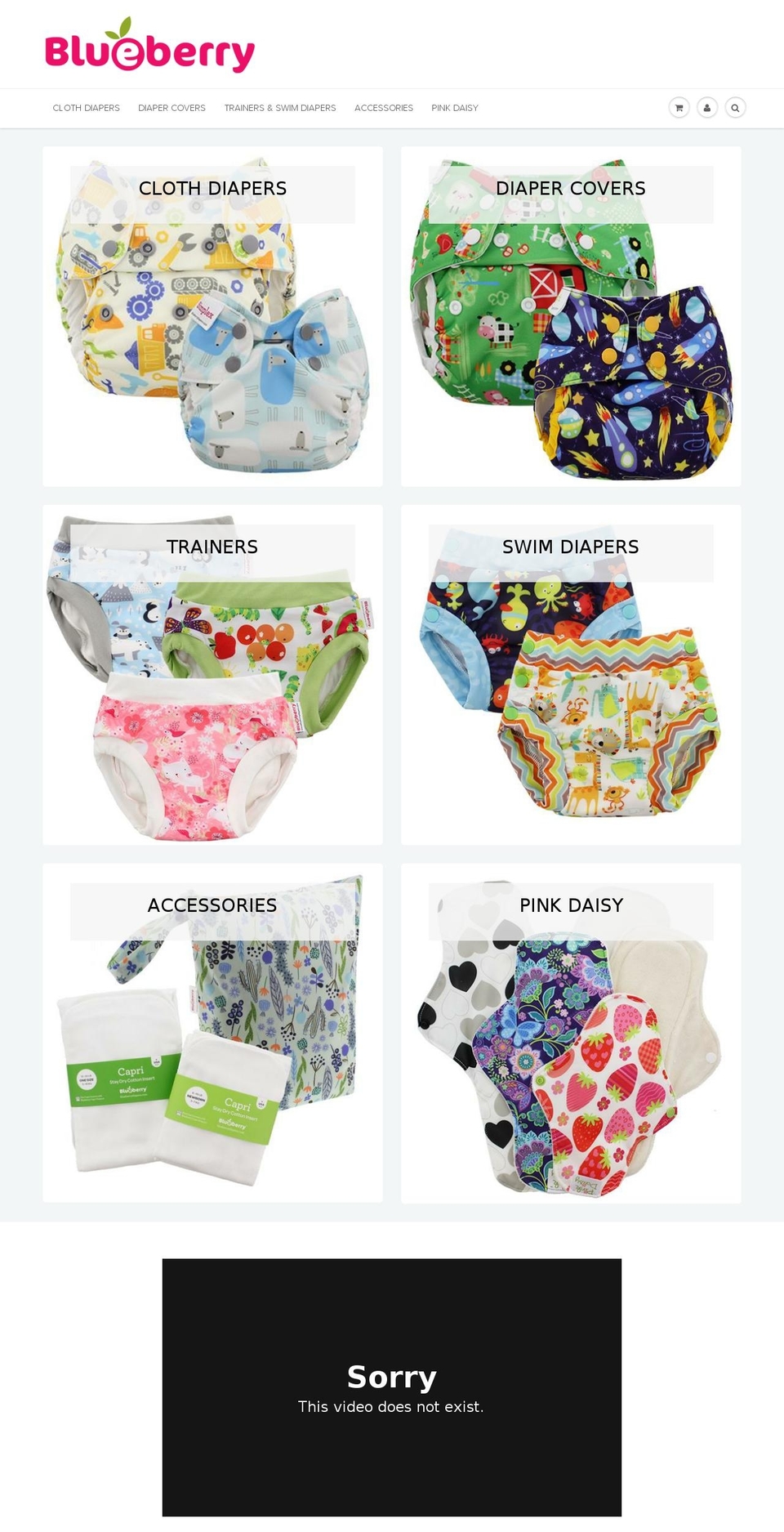 blueberrydiapers.com — Shopify storefront screenshot