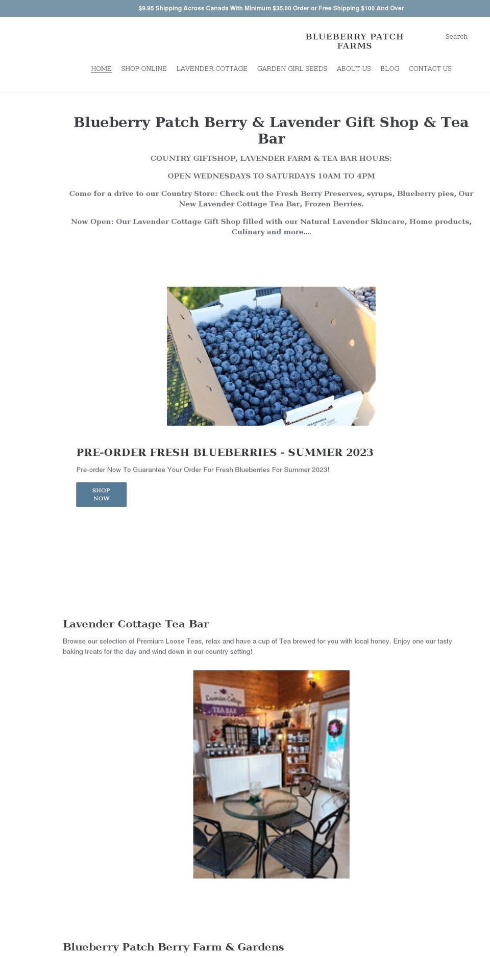 blueberrypatch.ca shopify website screenshot