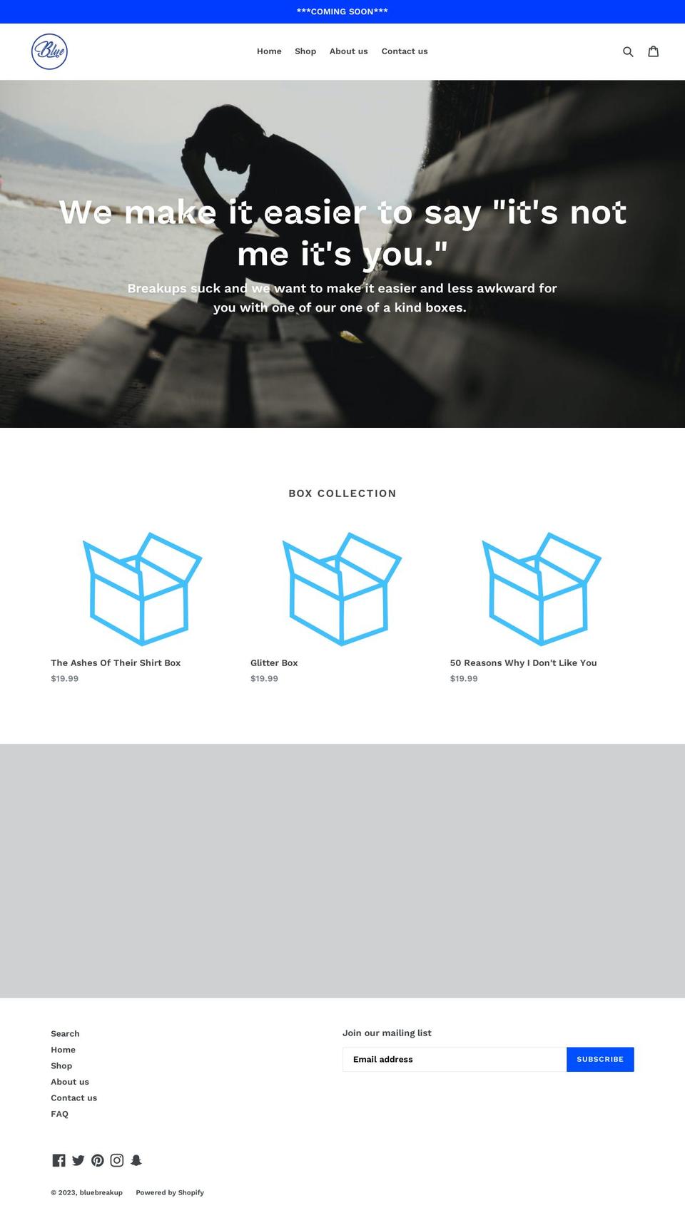 bluebreakup.com shopify website screenshot