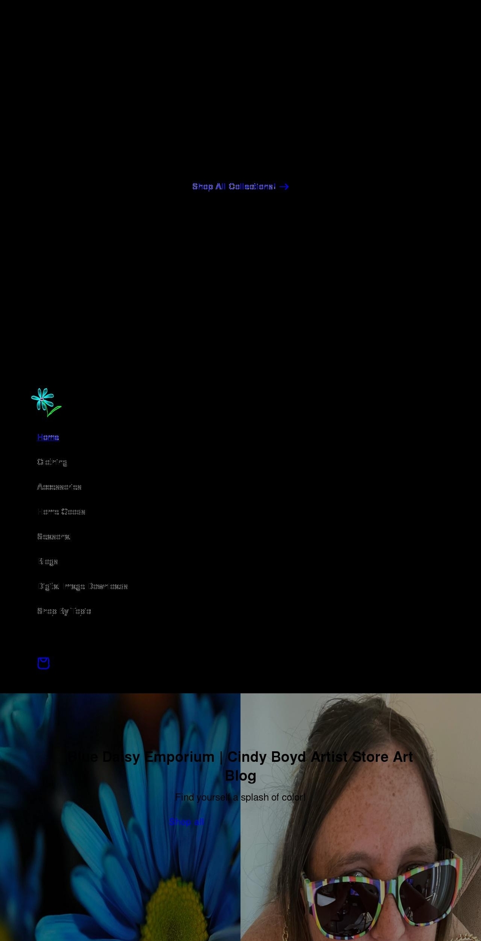 bluedaisyemporium.com shopify website screenshot