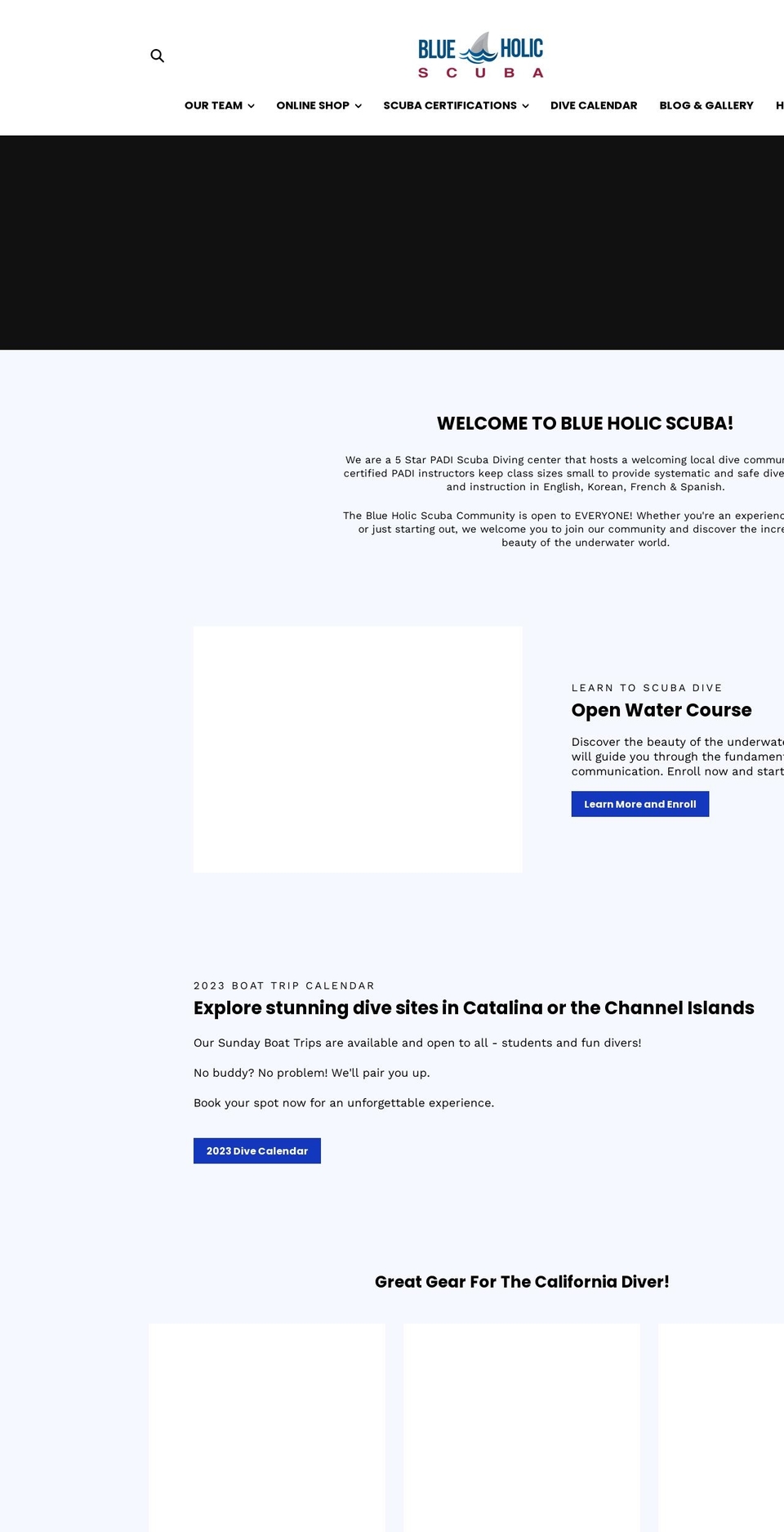 blueholicscuba.com shopify website screenshot
