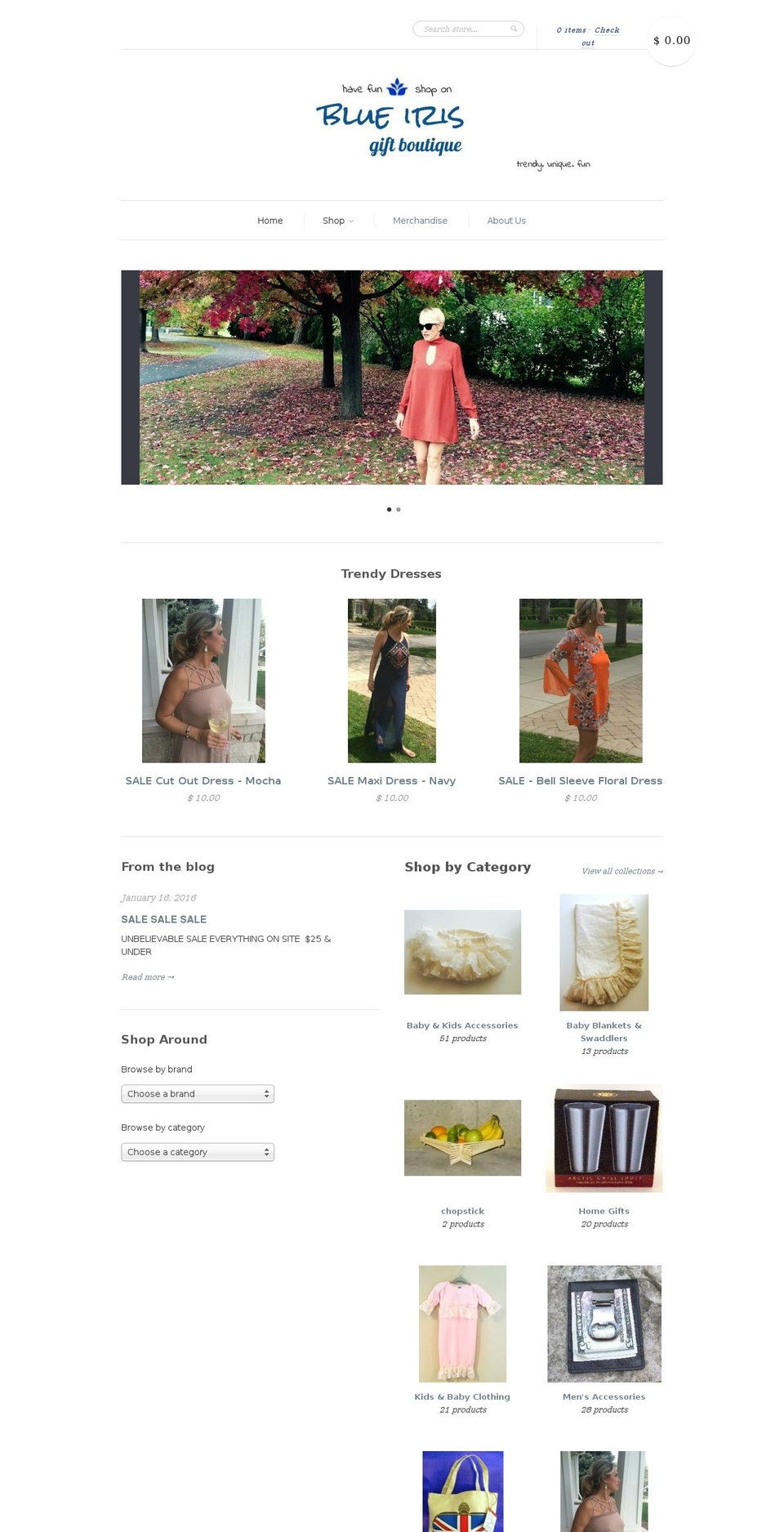 blueirisgiftboutique.com shopify website screenshot