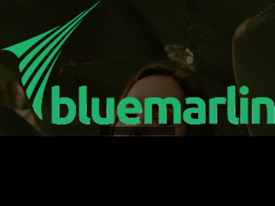 bluemarlinshop.com — Shopify storefront screenshot