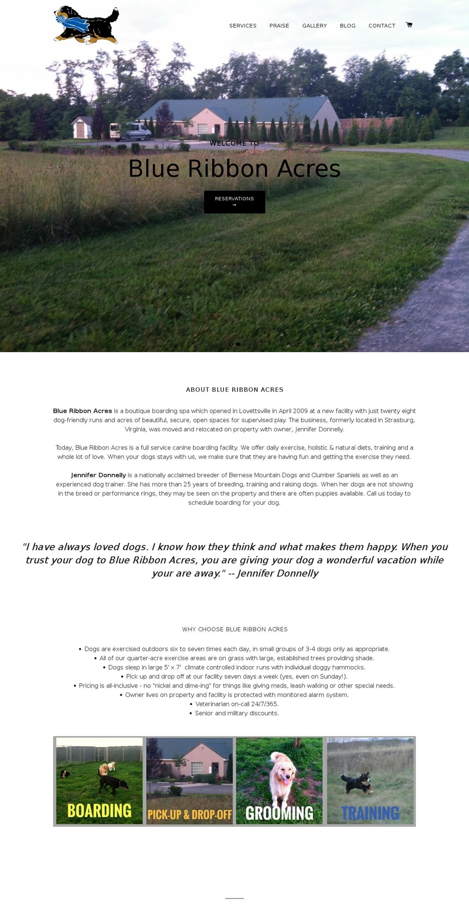 blueribbondog.com shopify website screenshot