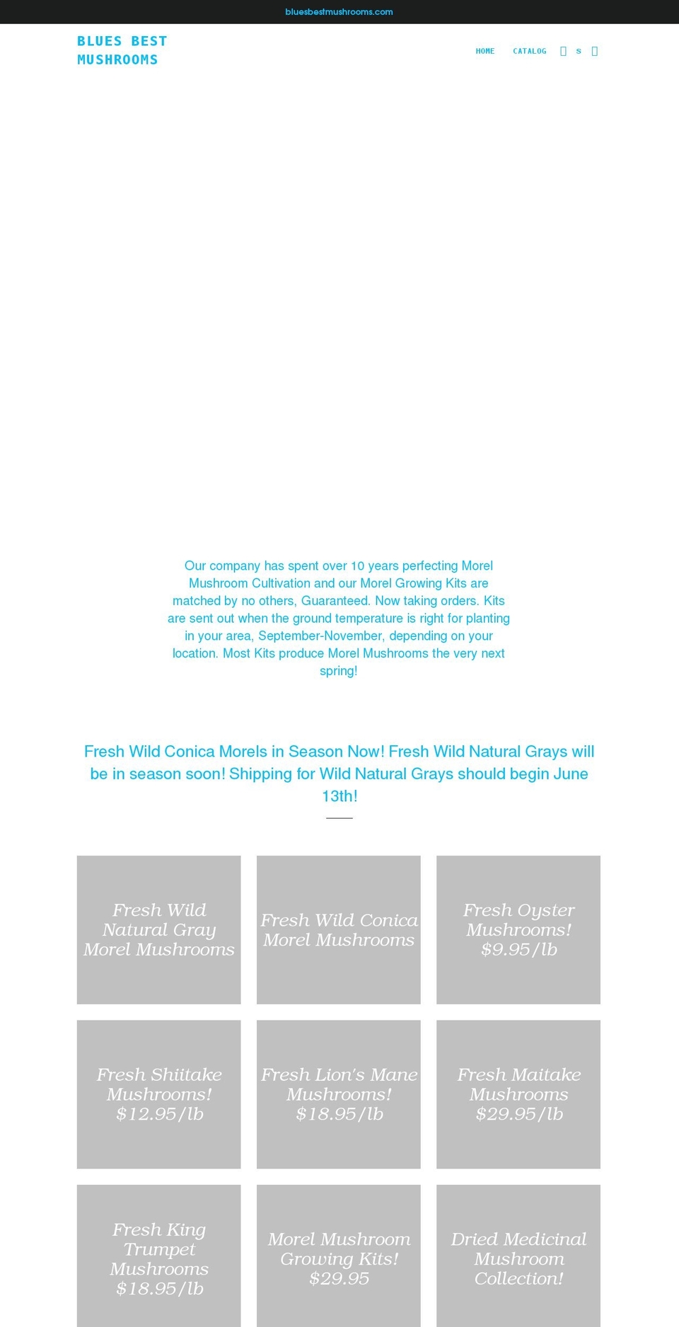 bluesbestmushrooms.com shopify website screenshot