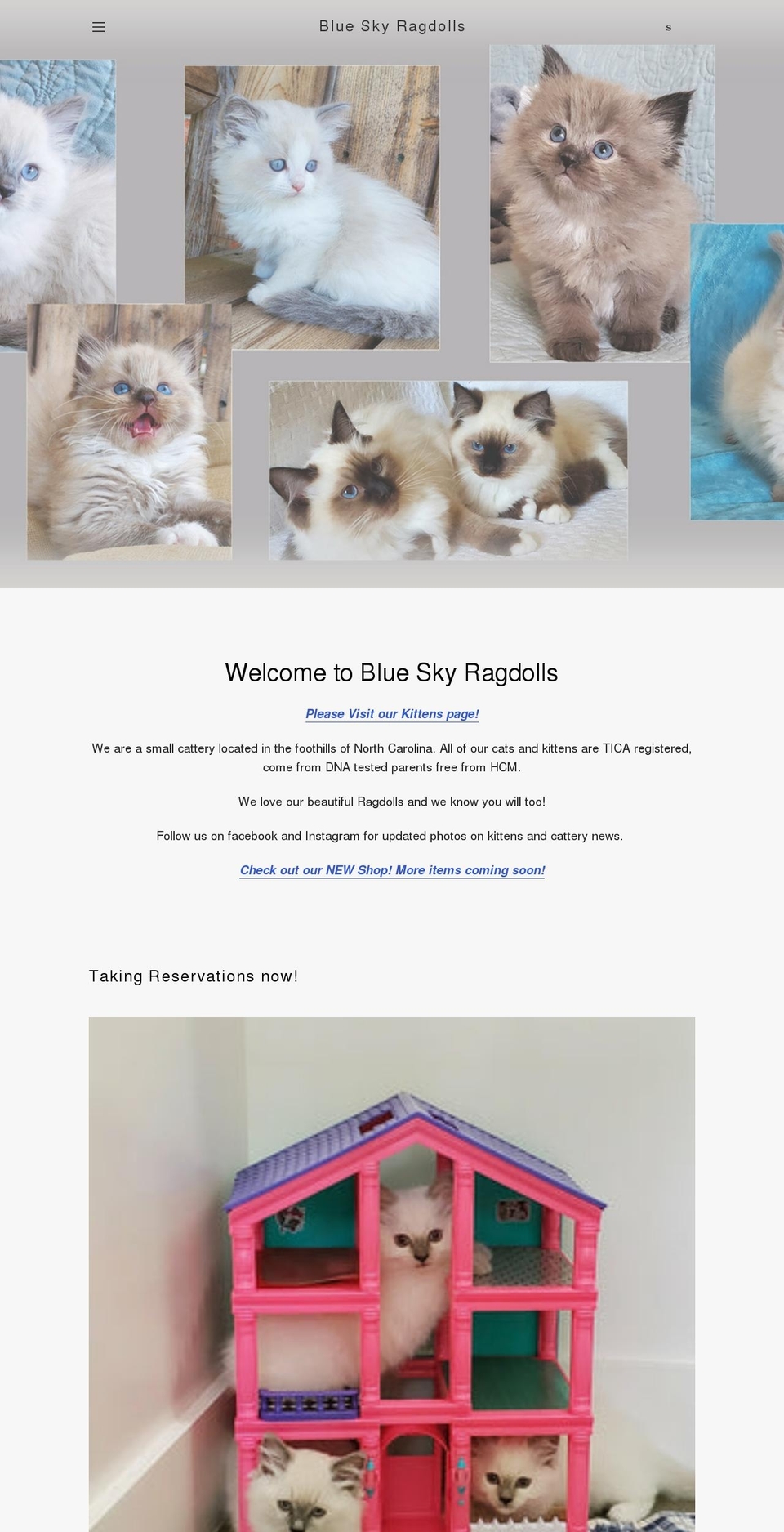 blueskyragdolls.com shopify website screenshot