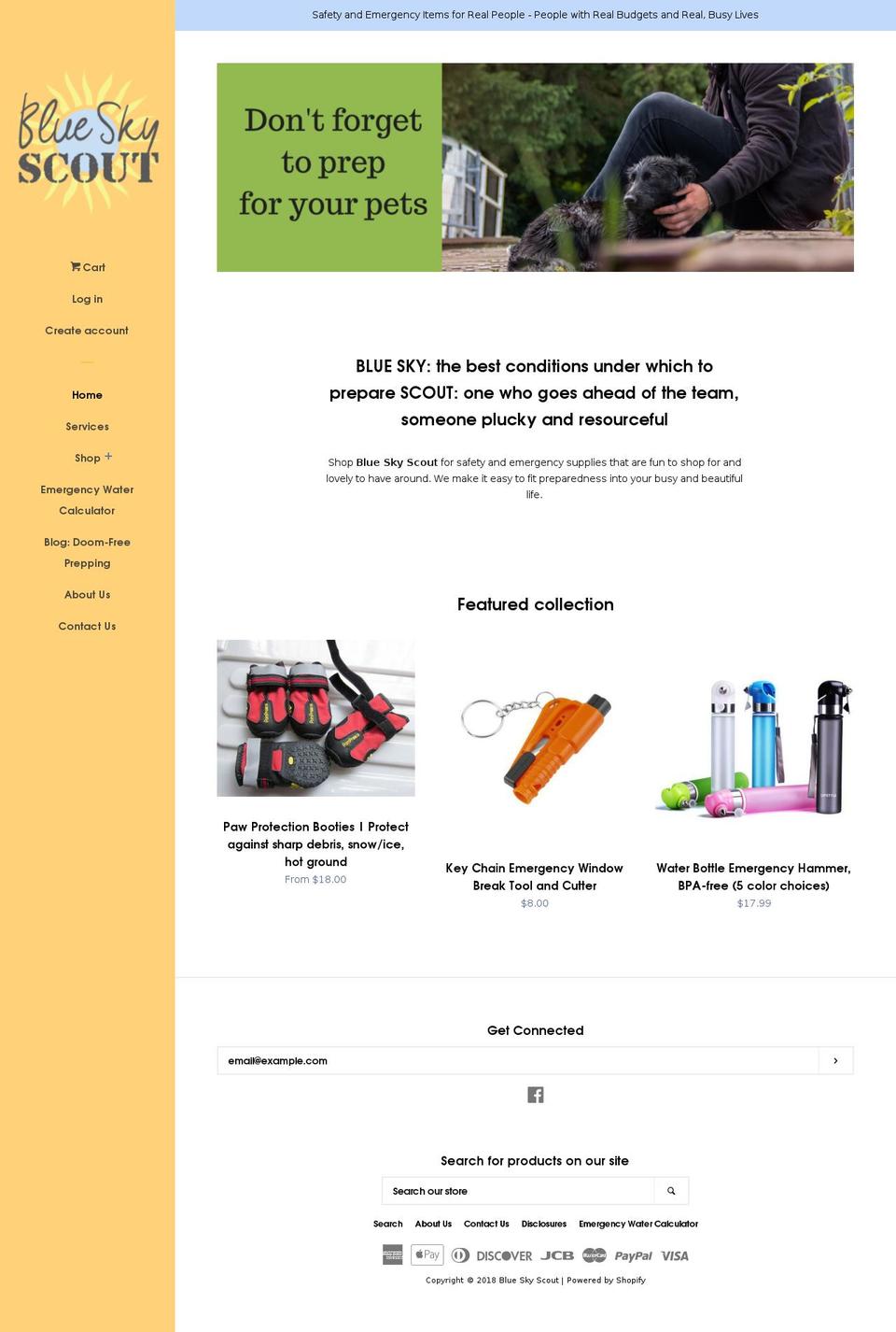 blueskyscout.com shopify website screenshot
