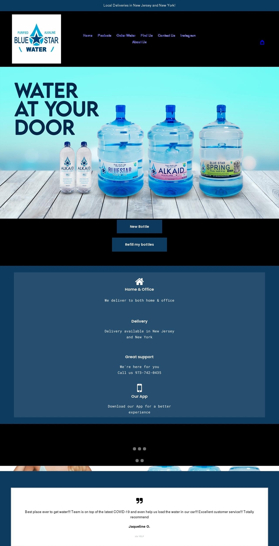bluestarpurewater.com shopify website screenshot