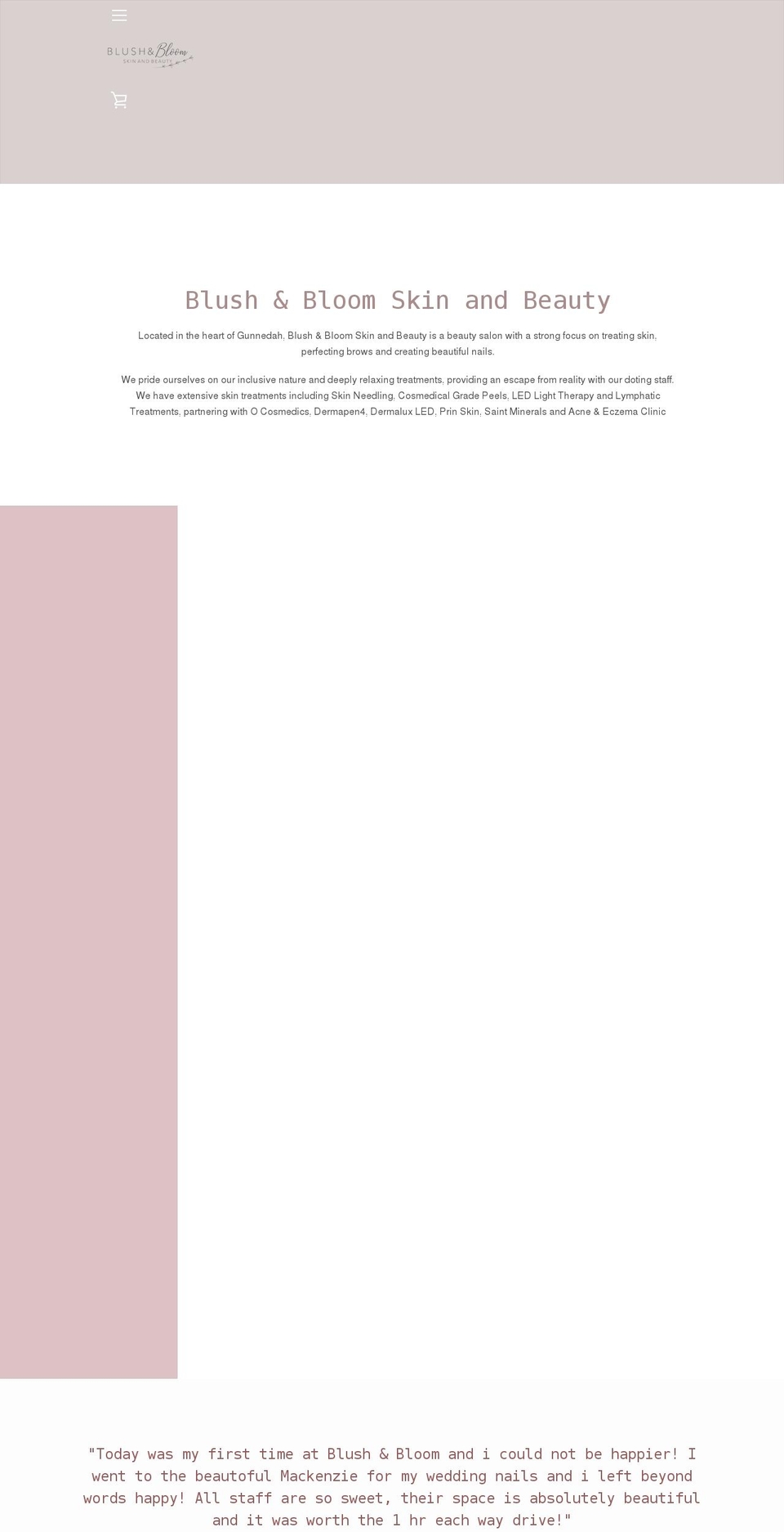 blush-bloombeauty.com shopify website screenshot