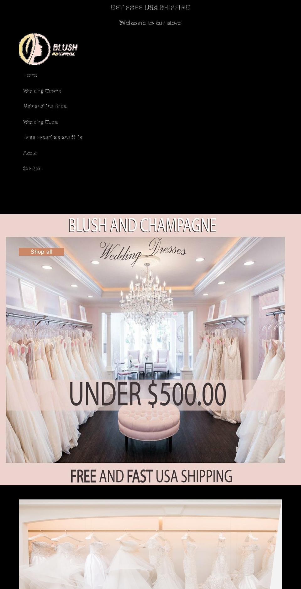 blushandchampagne.com shopify website screenshot