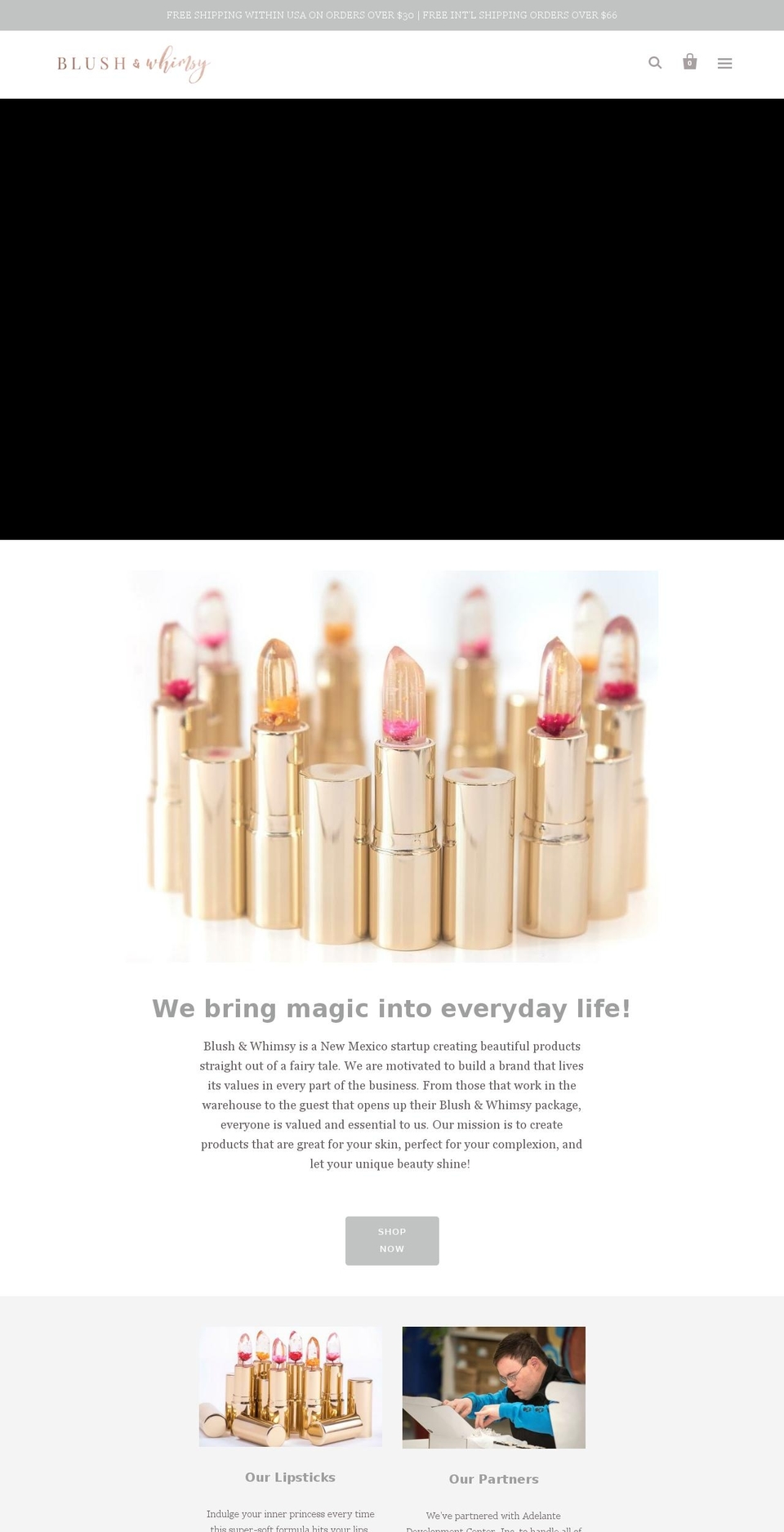 blushandwhimsy.net shopify website screenshot