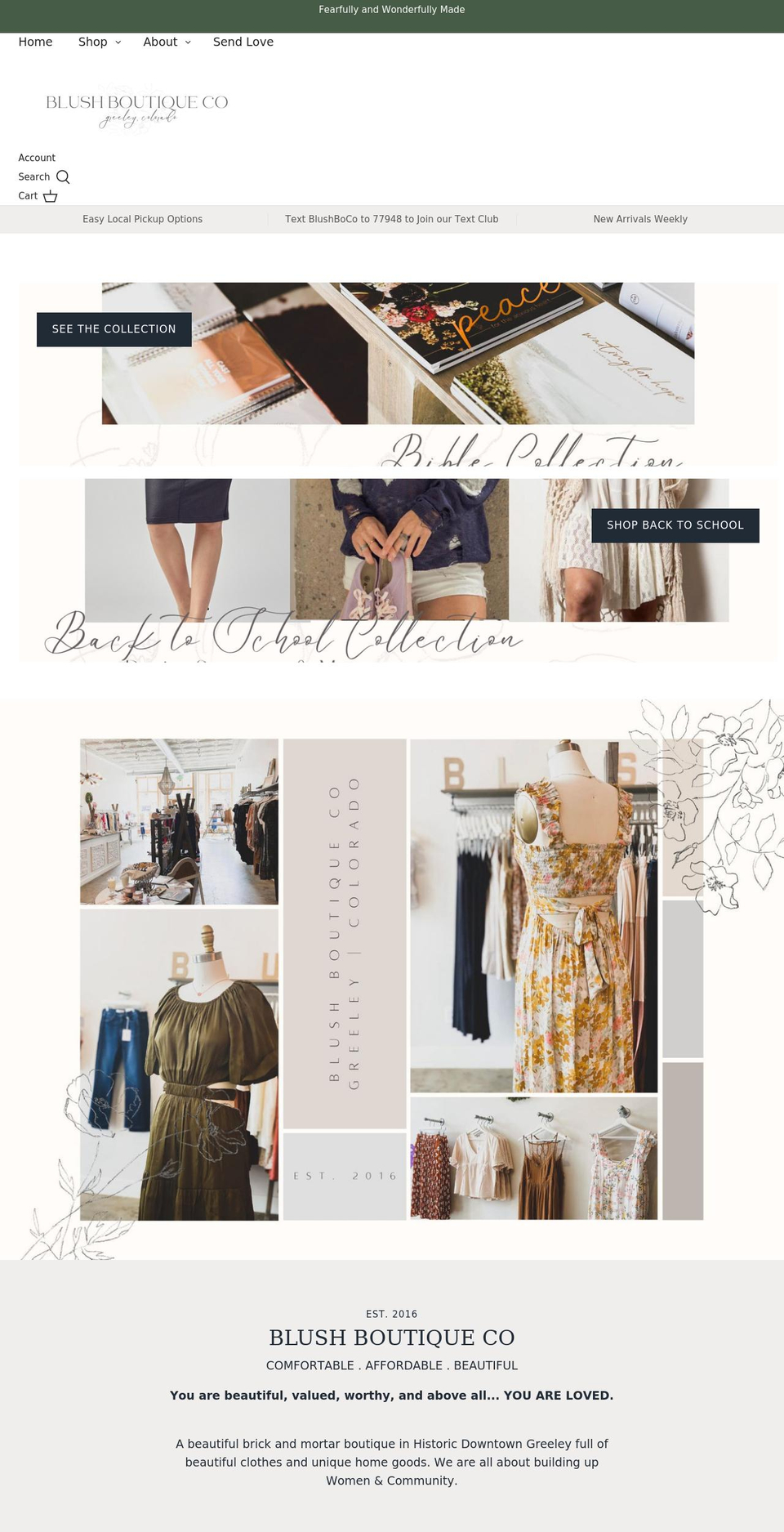 blushboutiqueco.com shopify website screenshot